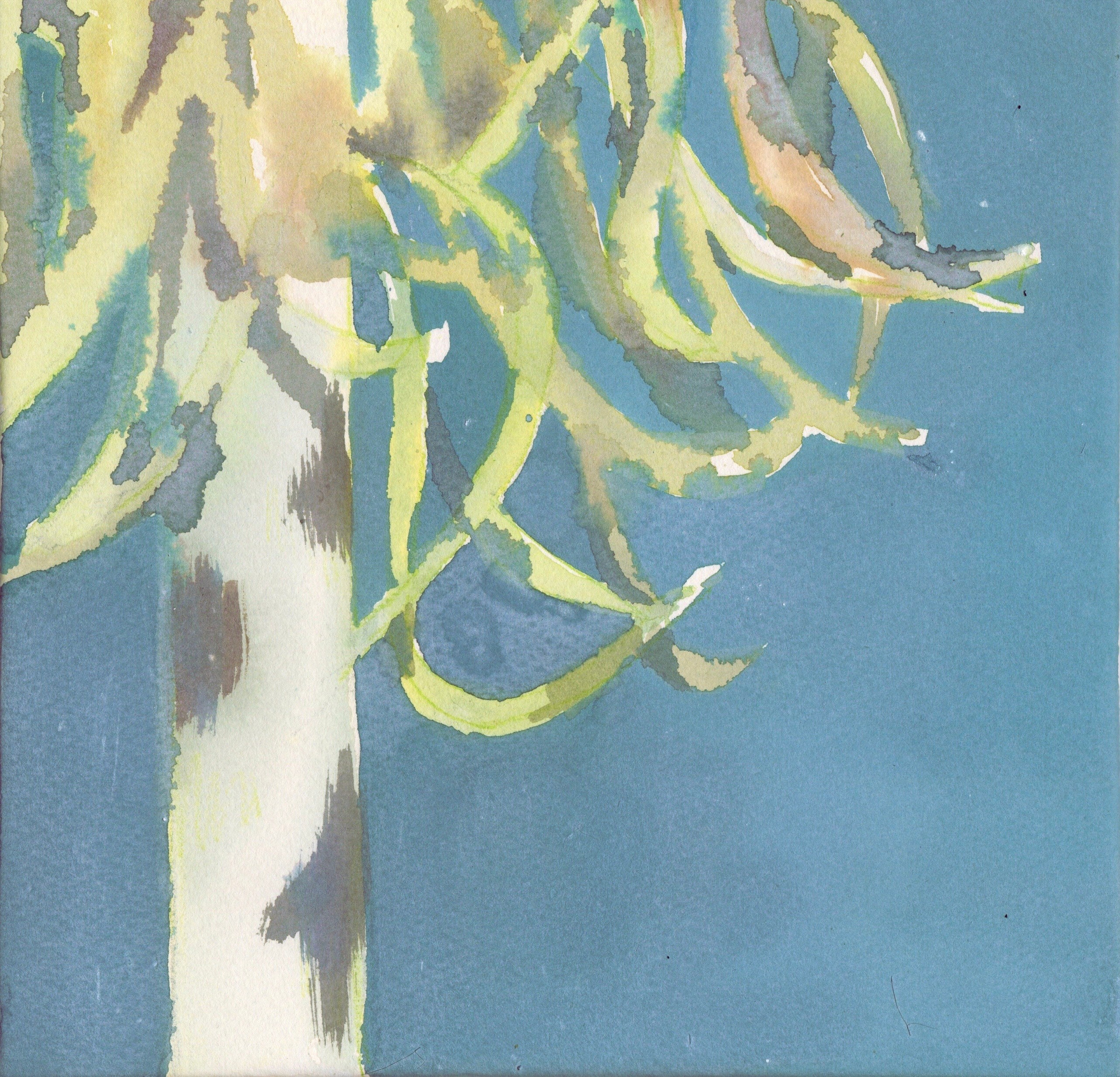 Частный парадайс | 2025. Alina Kugush