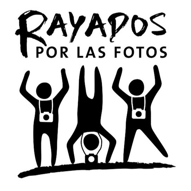 Partners. Avesdevaldivia