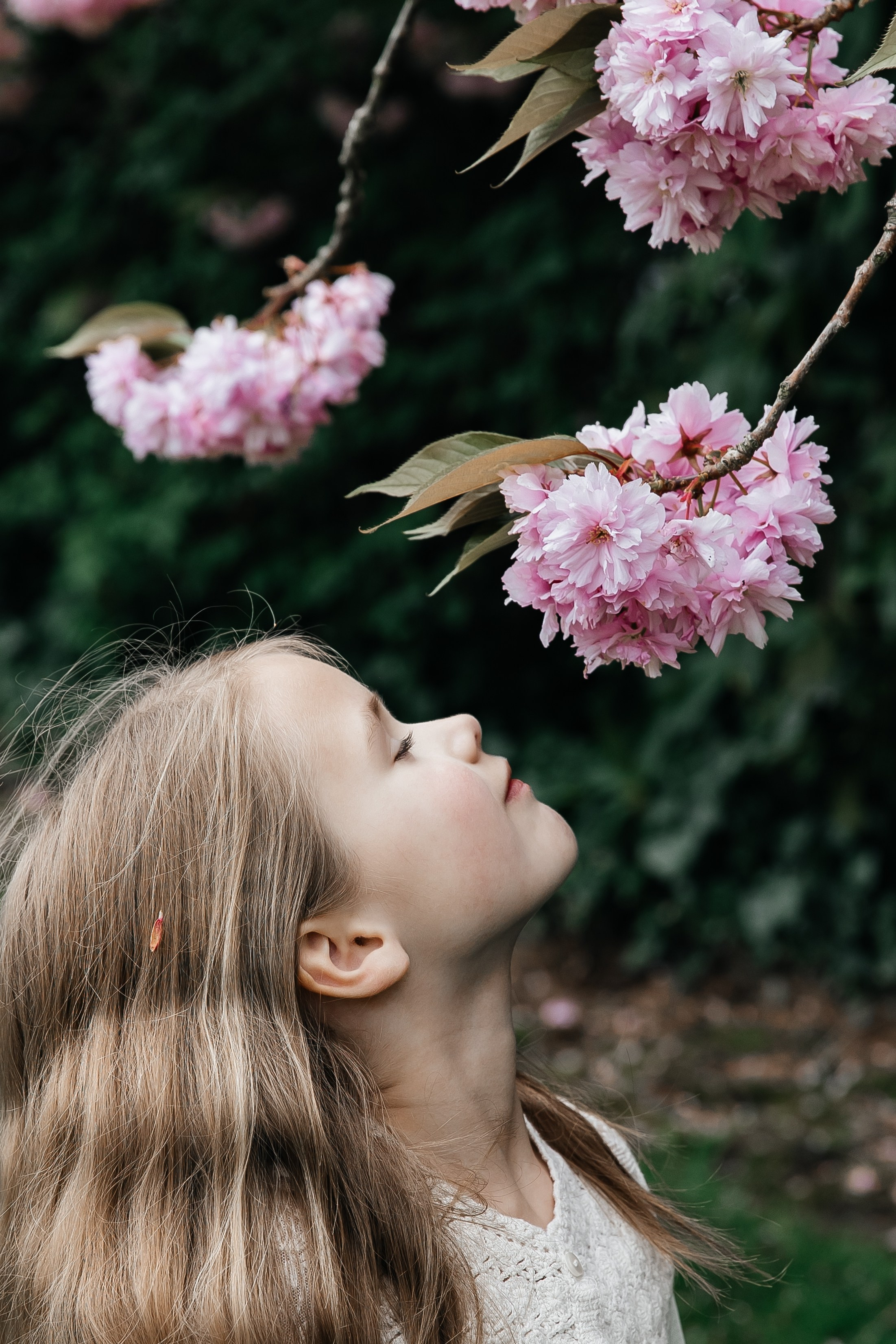 Documentary and Portrait Photographer in Seattle