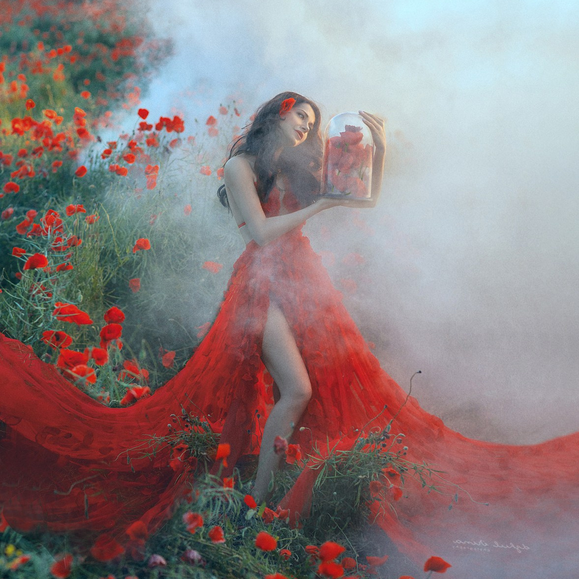 SOUL OF FLOWER. Art photographer in Amsterdam, the Netherlands Irina Dzhul