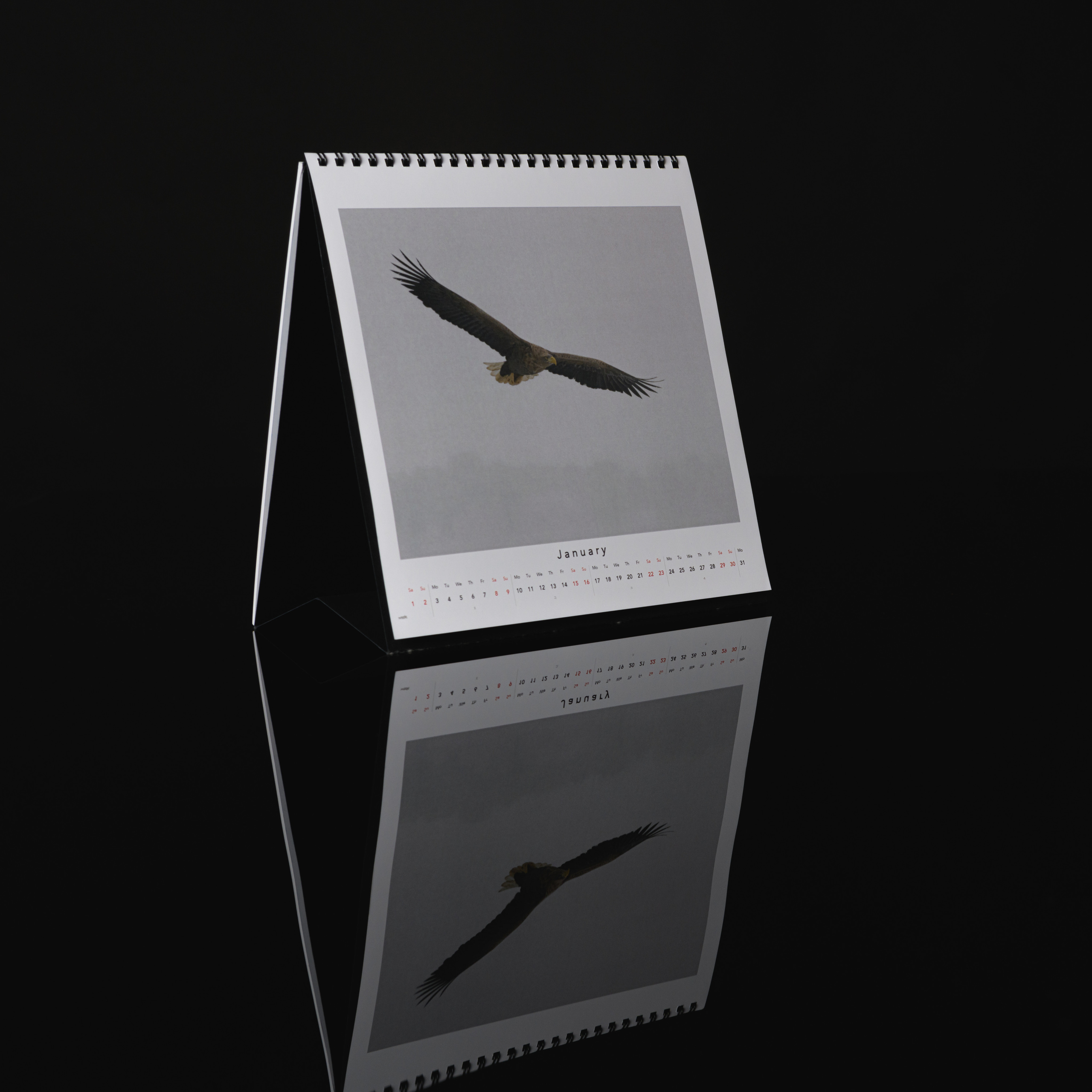 “IN TOUCH WITH NATURE” Calendar 2022