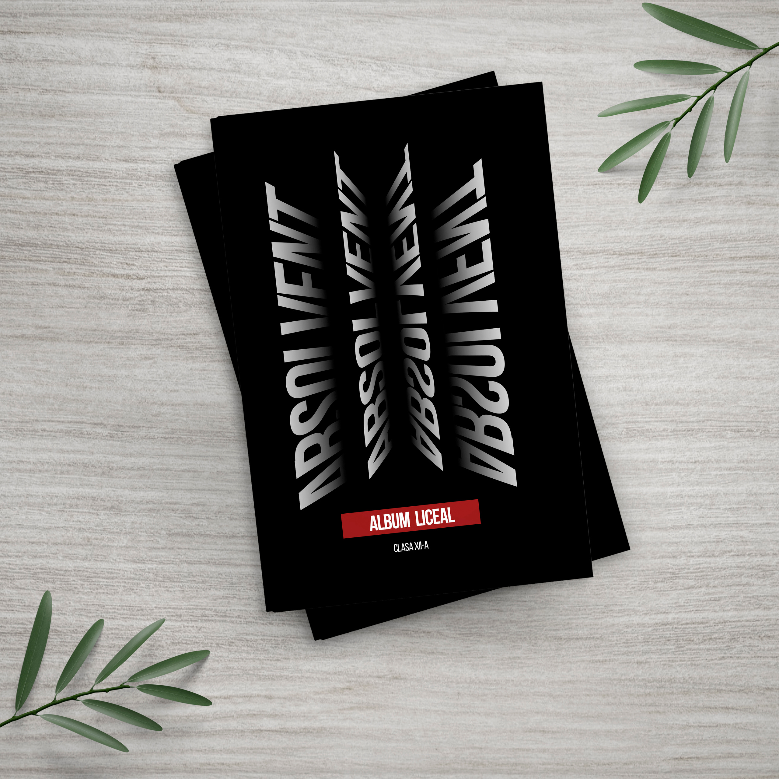 альбом, Выпускной, старшая школа, Гимназия, школа, Классы, Первичный, Май, Венета, Молдова, Республика, выпускник, фотография, фотограф, картинки, Кишинев, Унгень, Кахул, Орхей, Комрат, первый учитель, Университет