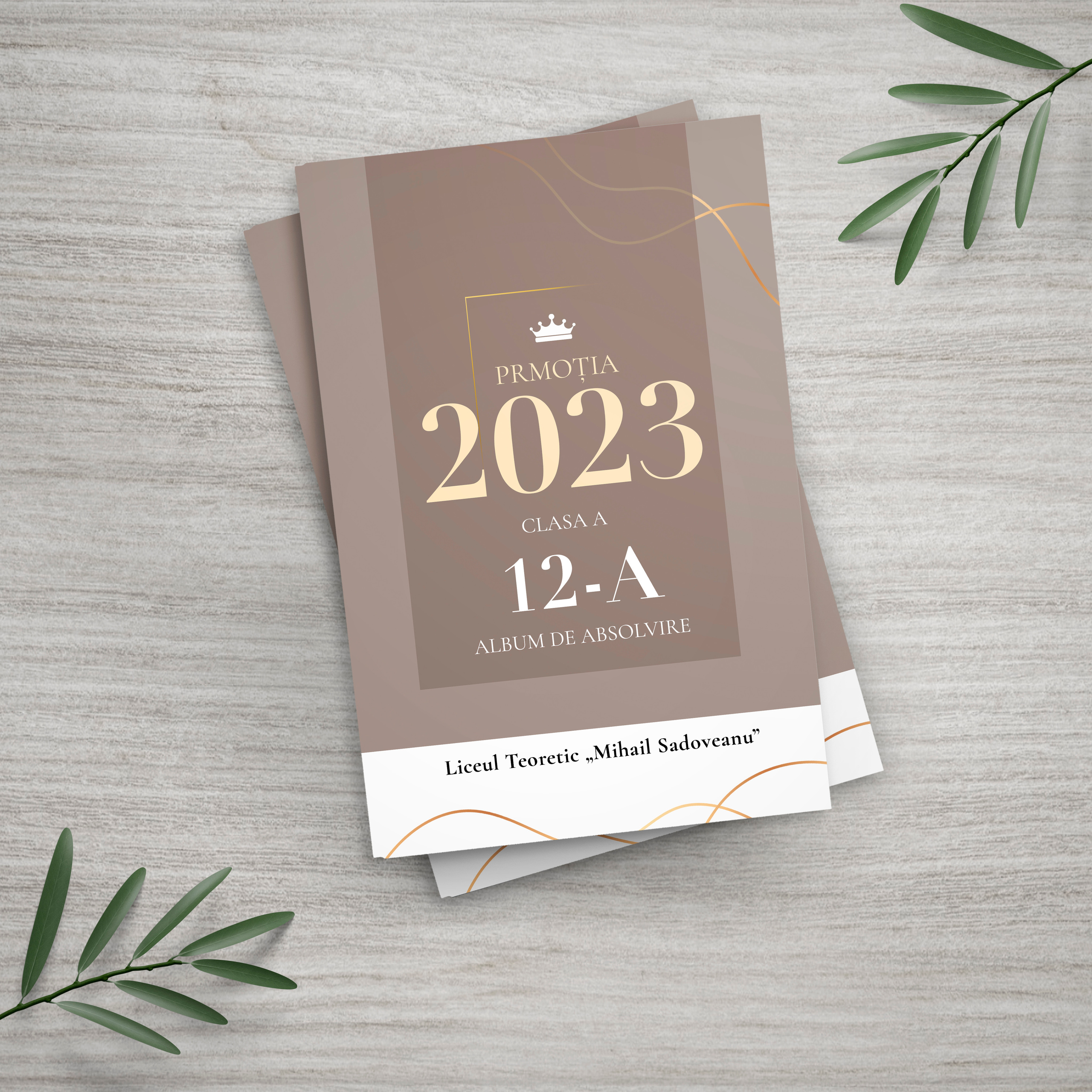 альбом, Выпускной, старшая школа, Гимназия, школа, Классы, Первичный, Май, Венета, Молдова, Республика, выпускник, фотография, фотограф, картинки, Кишинев, Унгень, Кахул, Орхей, Комрат, первый учитель, Университет