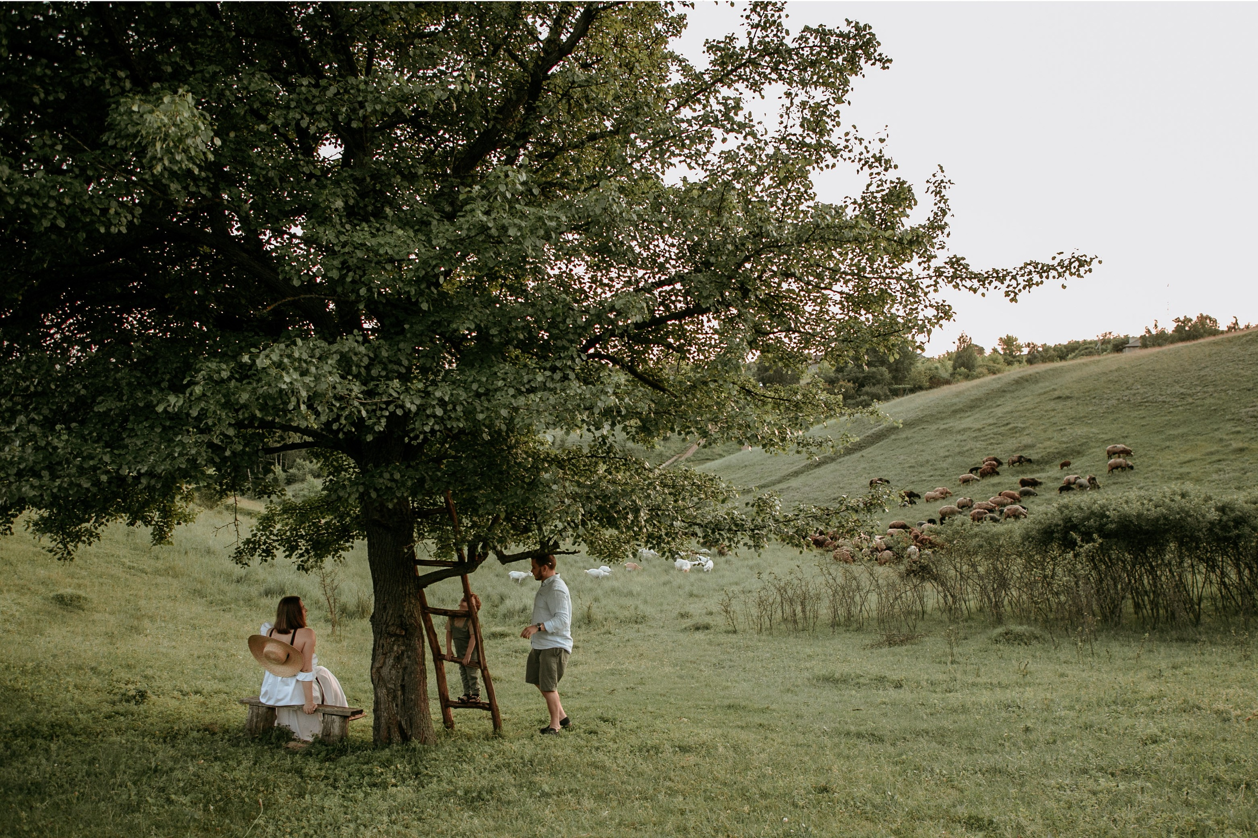 Services. Wedding and family photographer