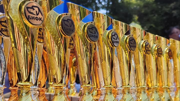 Titles. Website of the titled stud dog of the Springer Spaniel breed