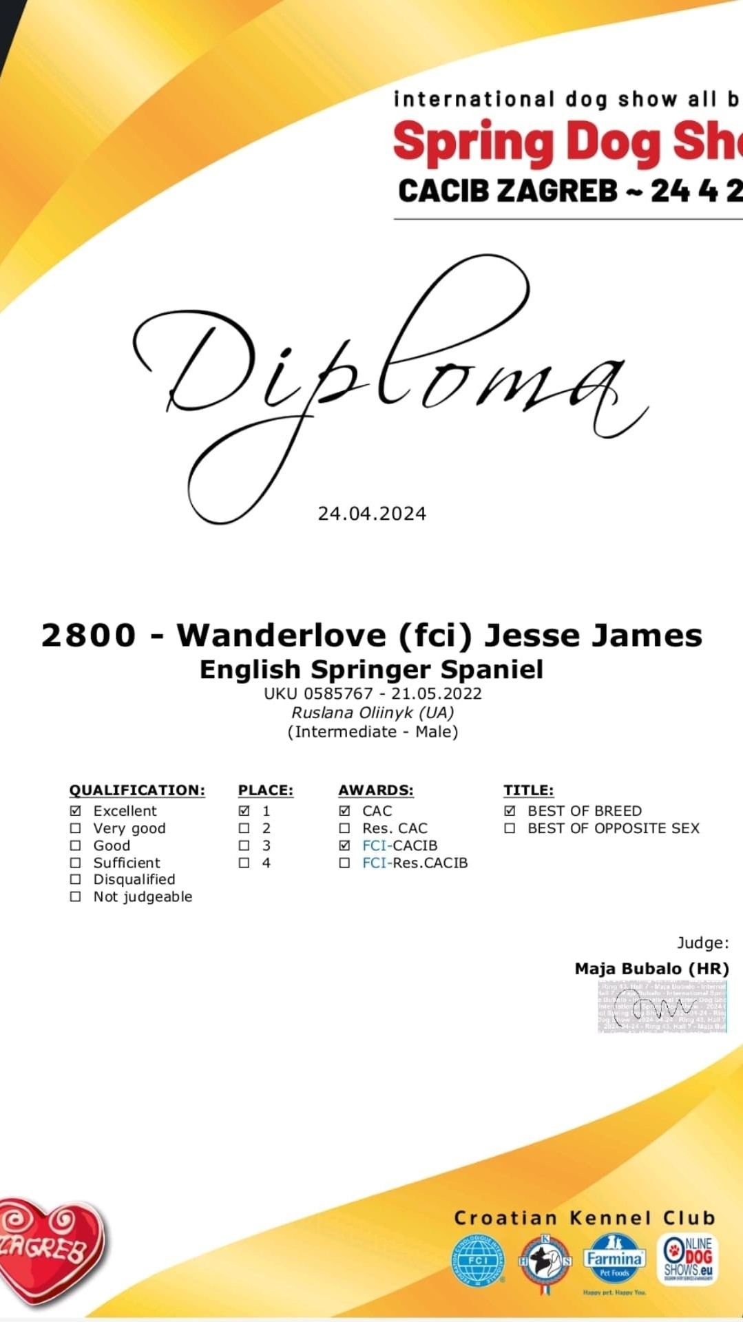 ✨ IDS Spring Dog Show CACIB 24.04.2024 WDS Zagreb Croatia 26.04.2024. Website of the titled stud dog of the Springer Spaniel breed