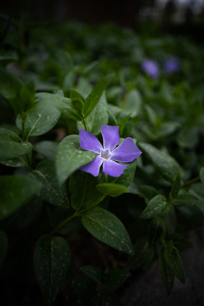 SIGMA 20 mm F/2.0 DG DN Contemporary. Фотограф Григорий Кравец