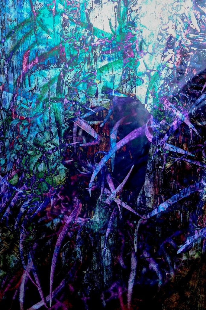 Limited Edition. Photographer artist Liashenko Oksana