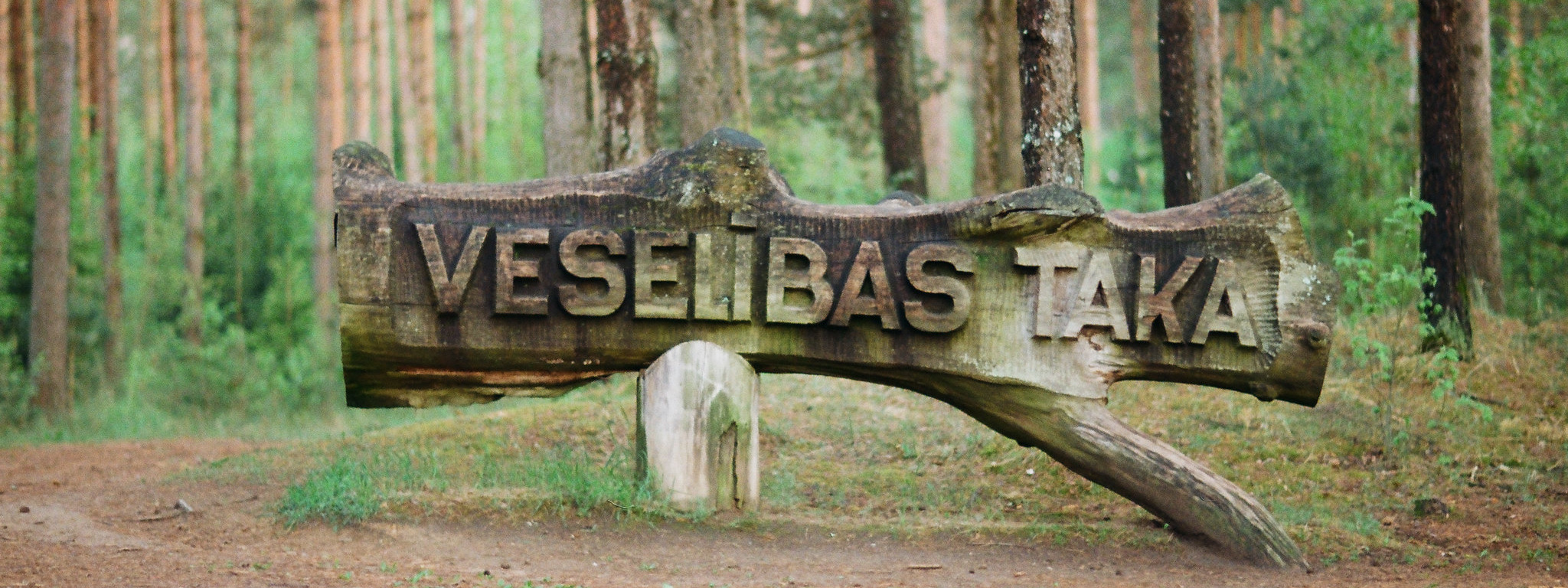 Mežaparks Jēkabpilī, veselības takas zīme no koka. Skaista vieta fotosesijai Jekabpilī ir Mežaparks pie Radžu ūdenskrātuves.