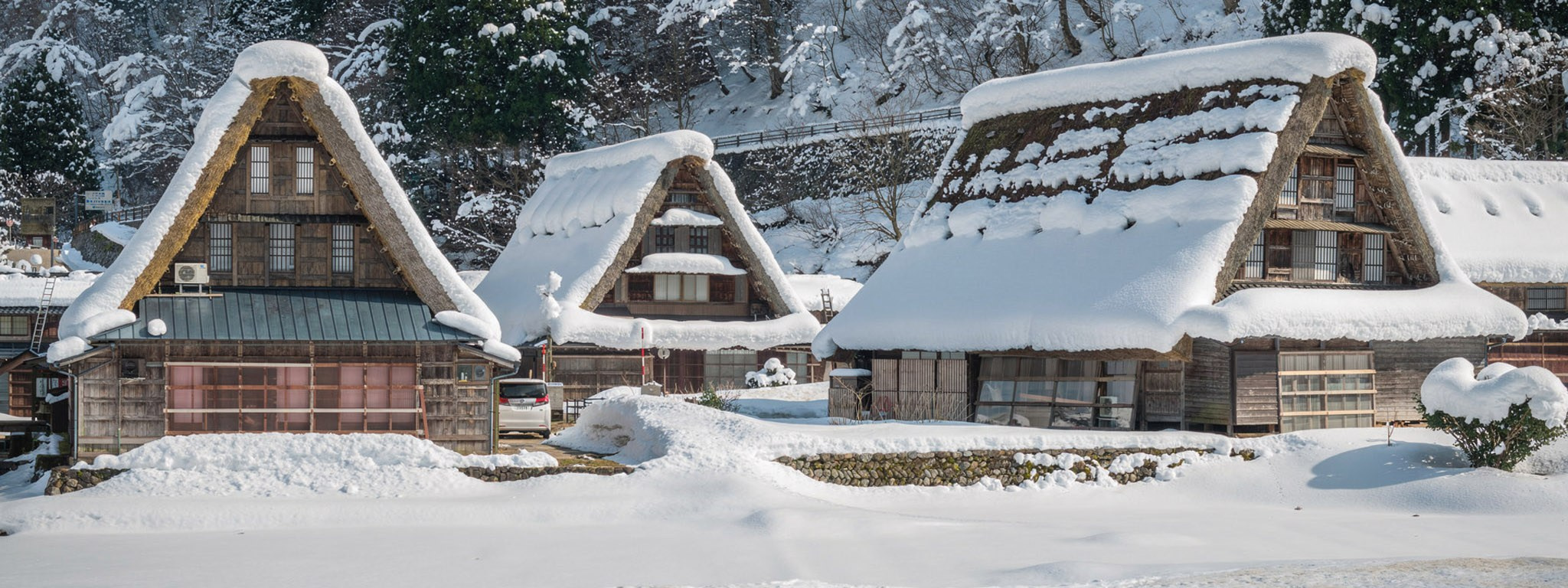 Tours and Workshops Schedule. Pet, Senior, Landscape, portrait studio, photographer in Miami and Sou