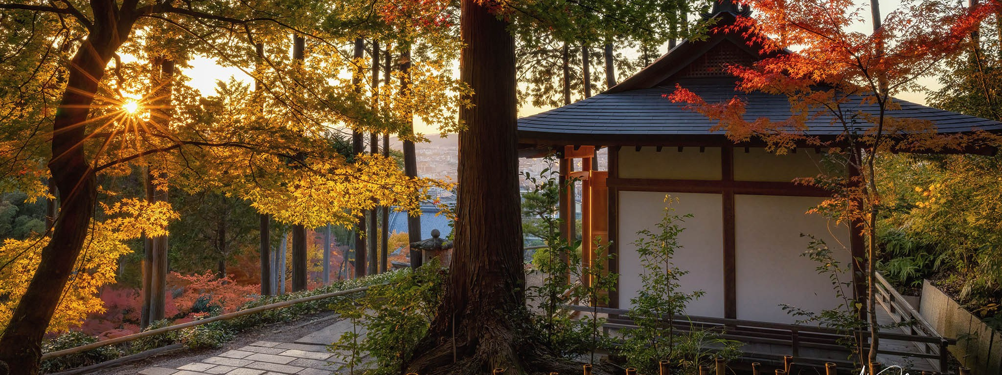 Autumn Colors of Japan. Pet, Senior, Landscape, portrait studio, photographer in Miami and Sou