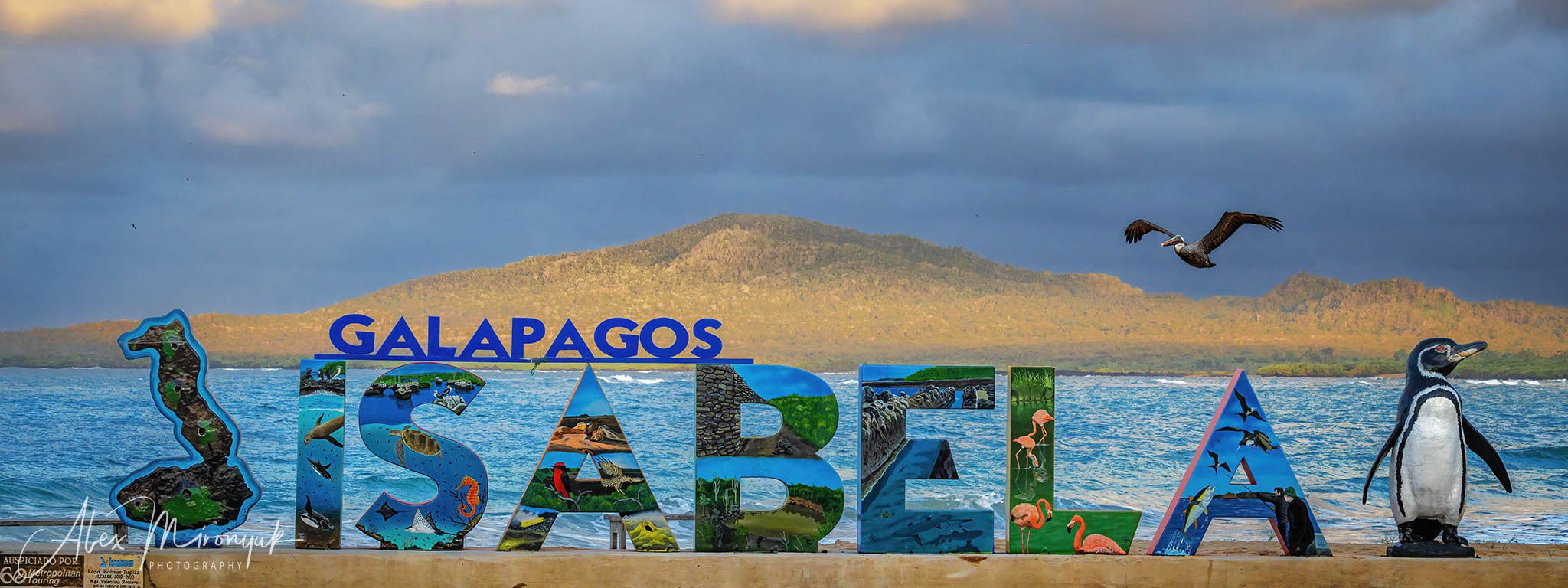 Galapagos Islands Adventure. Alex Mironyuk Photography