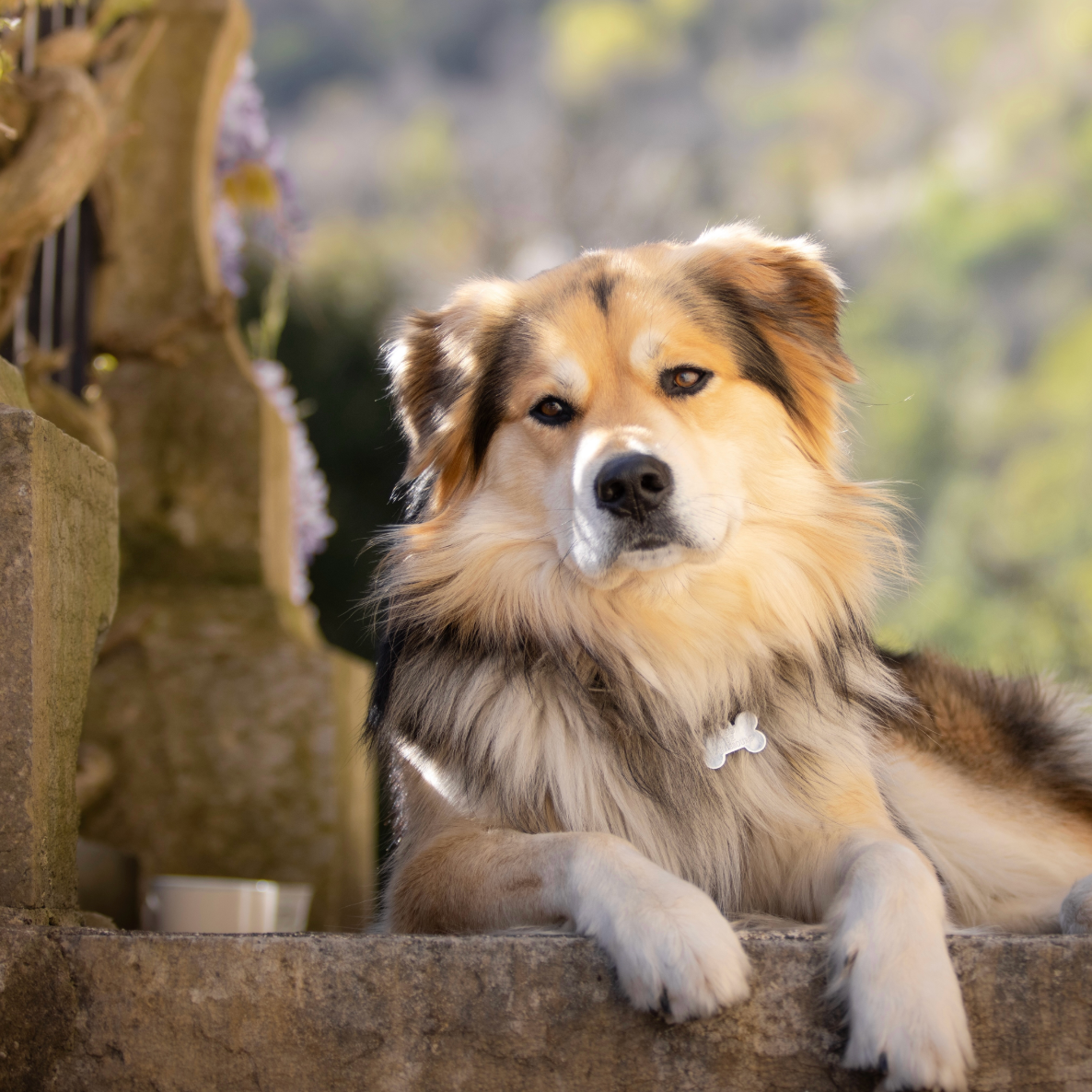 Elopement at Château Bagen. Eugénie Smirnova — Wedding & Elopement Photographer in Southwest France