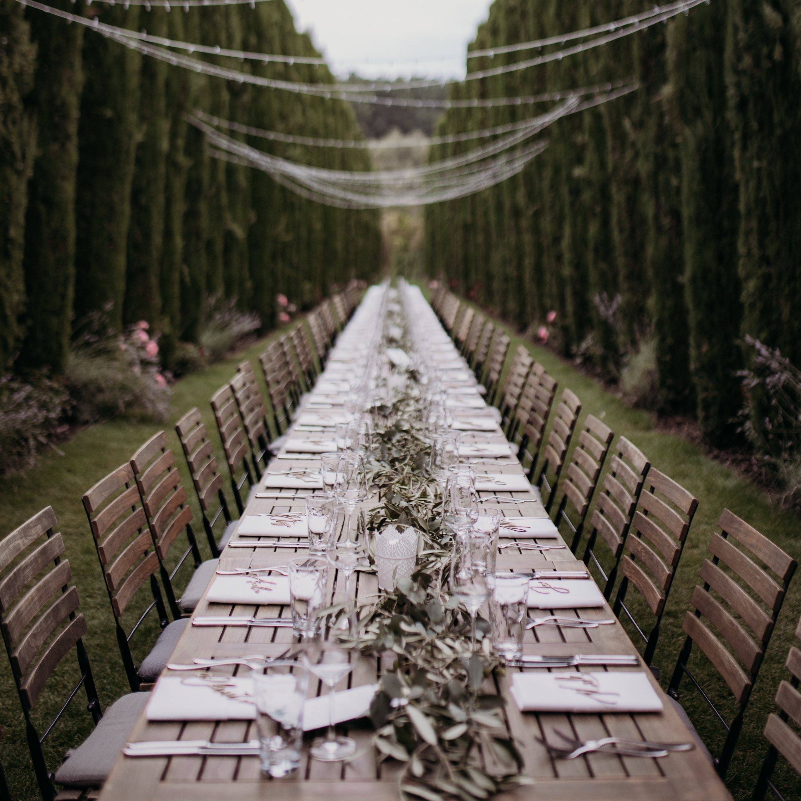 Hochzeitsfotograf in der Pfalz - freie Trauung im Weingut Mussler