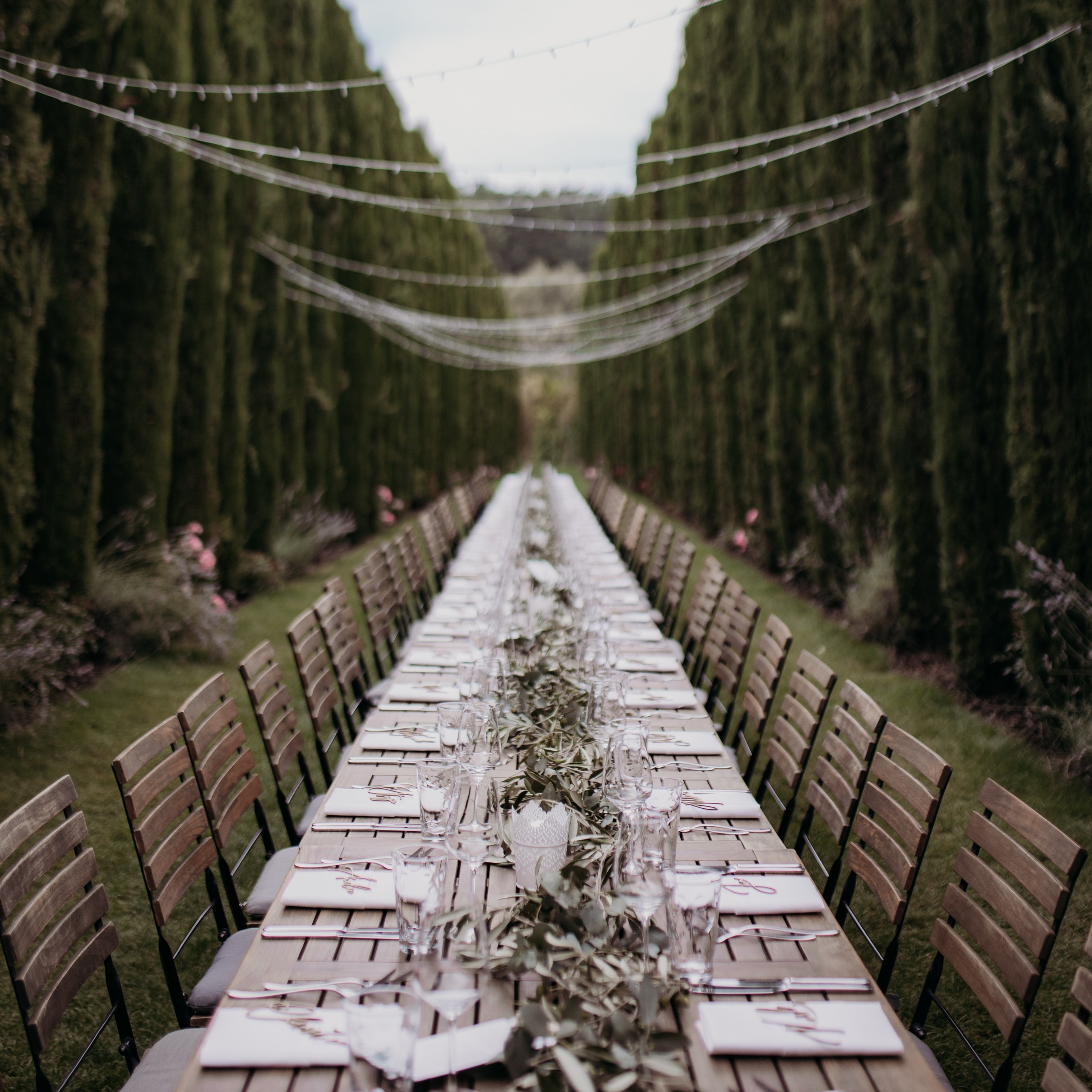 Hochzeitsfotograf in der Pfalz - freie Trauung im Weingut Mussler