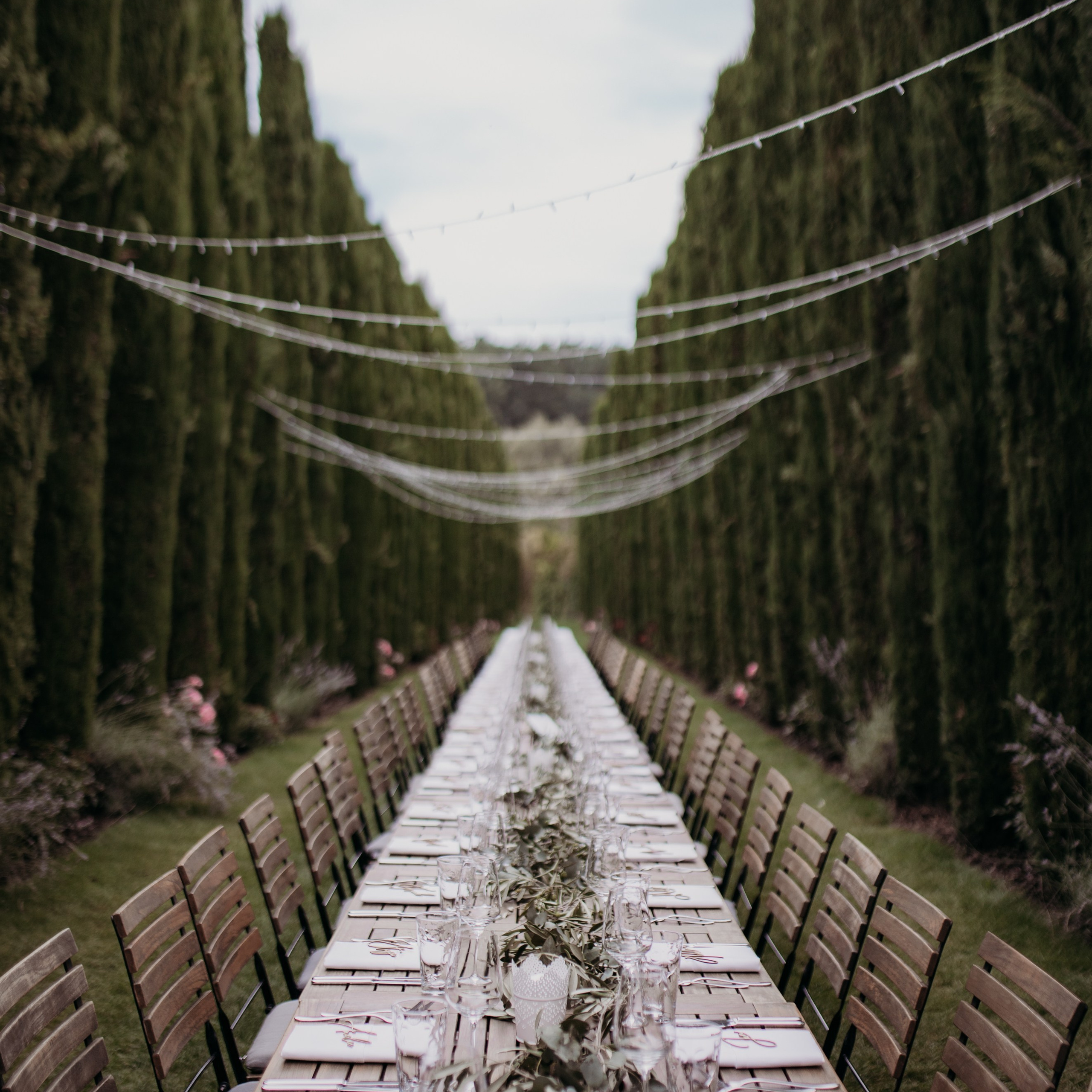  Hochzeitsfotograf in der Pfalz - freie Trauung in Limburgerhof