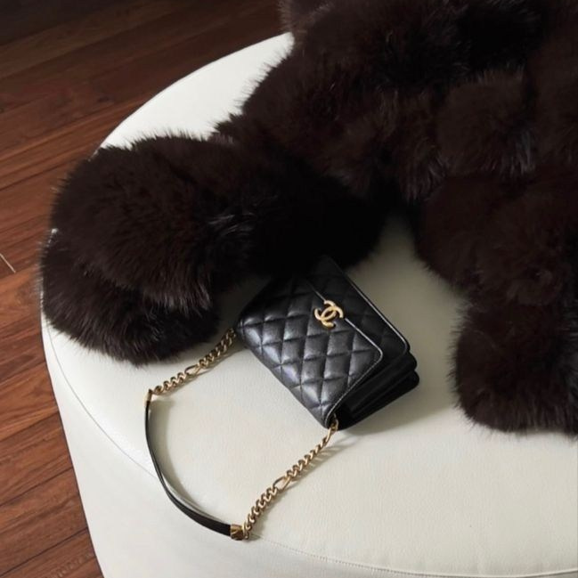 Stils. Sievieteslidzsvars