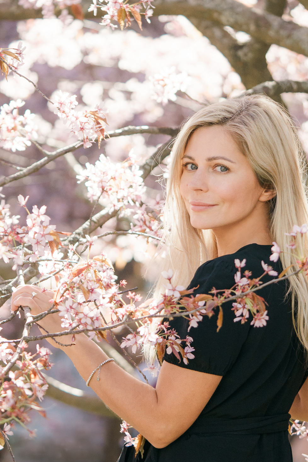 Perhekuvaus Roihuvuoren kirsikkapuistossa