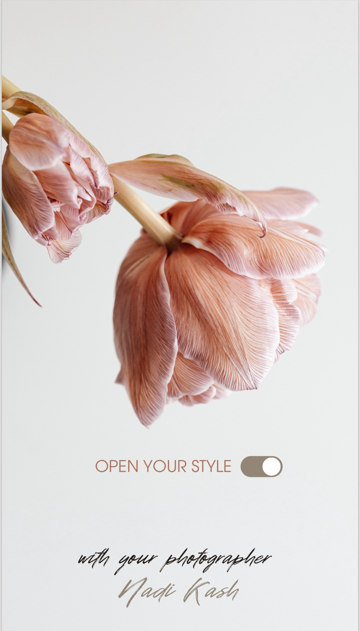 Photographer in Miami, Family photographer, Event, Wedding