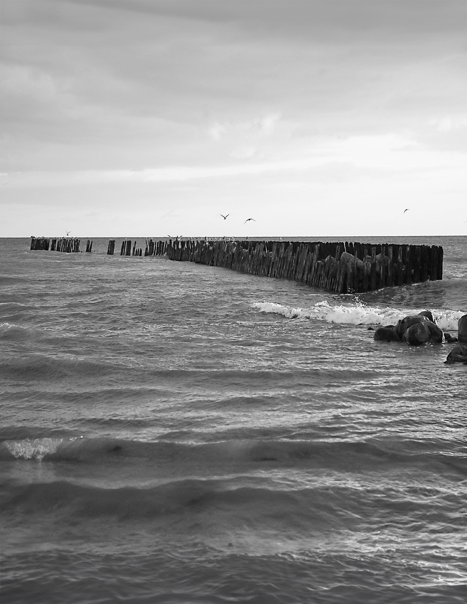 Shop. Communion, Weddings, Maternity, Newborn, Portrait photographer in Ireland