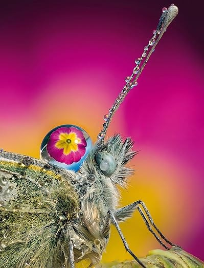 🔵Libri consigliati. “Gianmaria Coscia fotografo per passione”
