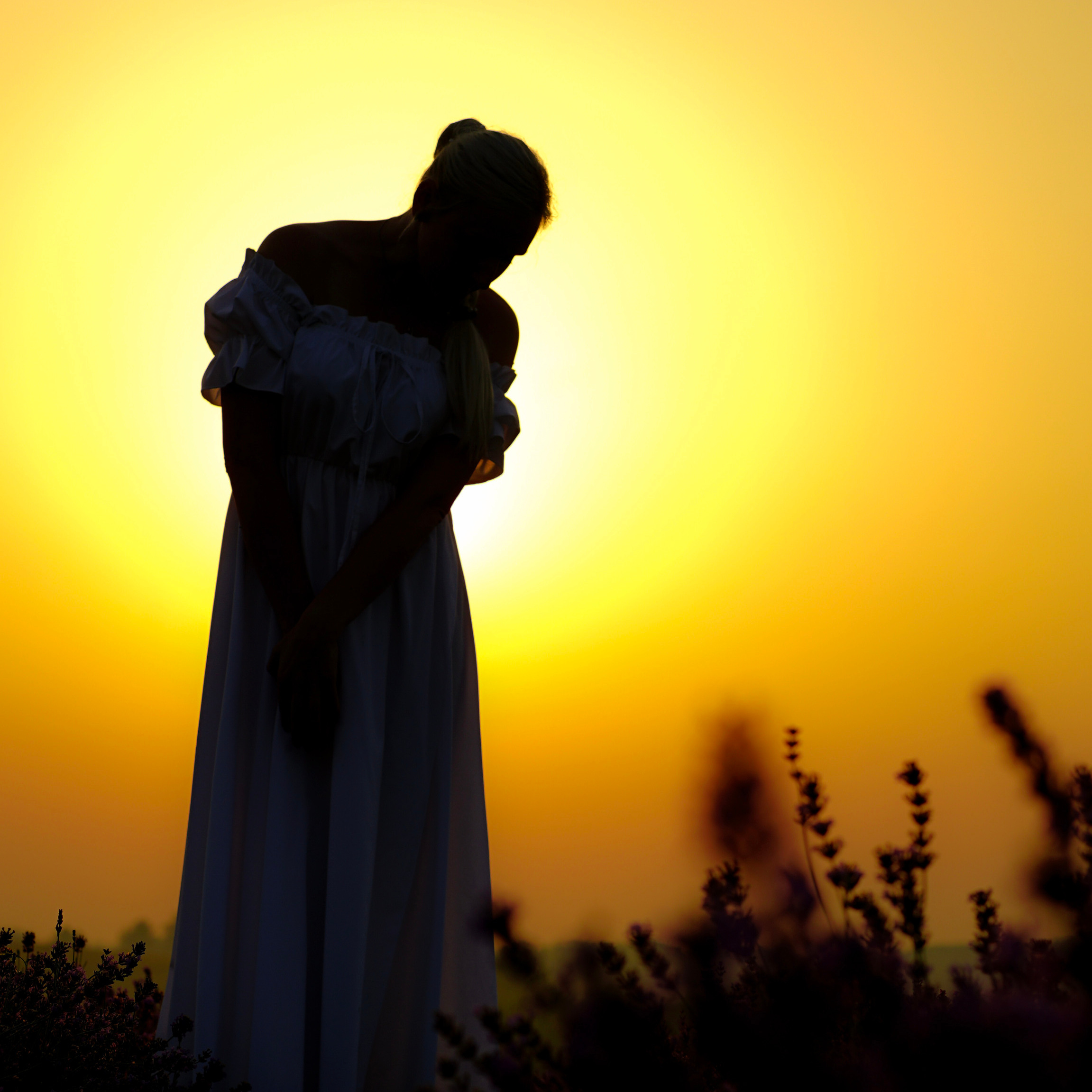 Фотопроєкт Лавандові історії в Городку