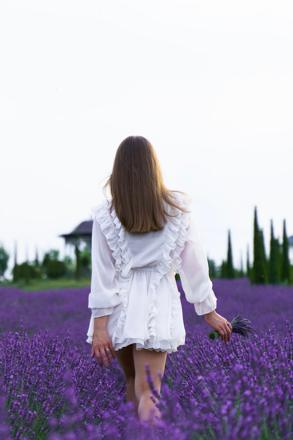 Фотопроєкт Лавандові історії в Городку