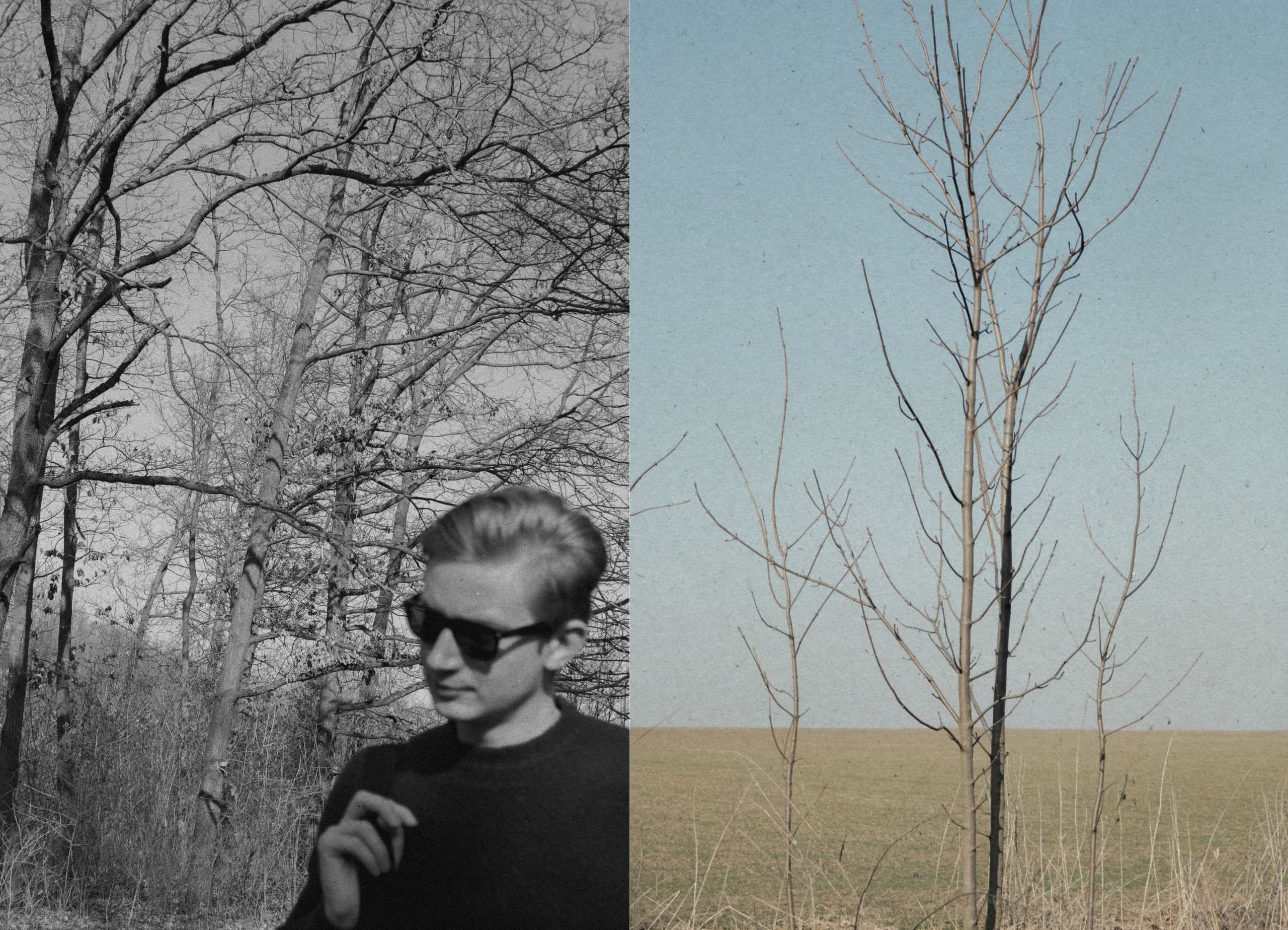 A project on the macrocosm of the human soul