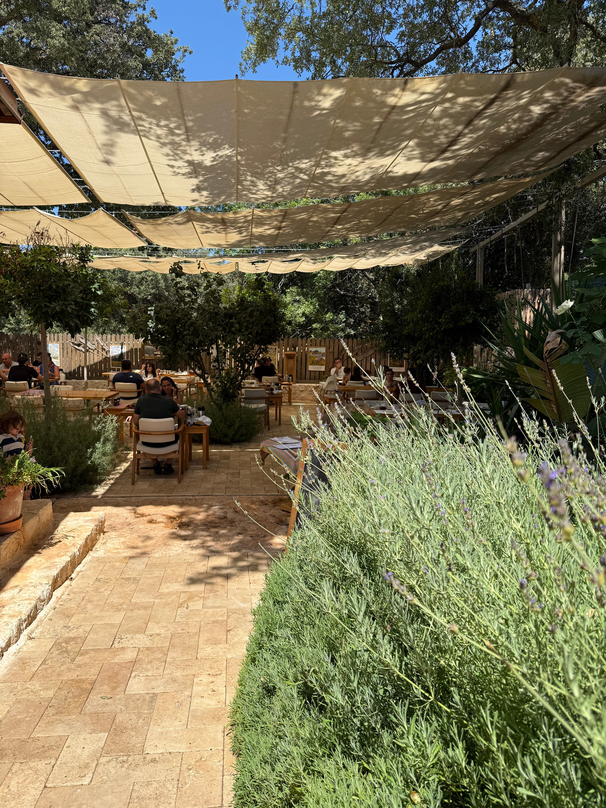 9 Tage in der Türkei: Entspannt und locker. Zwei Tage in jeder Stadt: Istanbul, Antalya, Kaş und ein Villenaufenthalt mit Bergblick