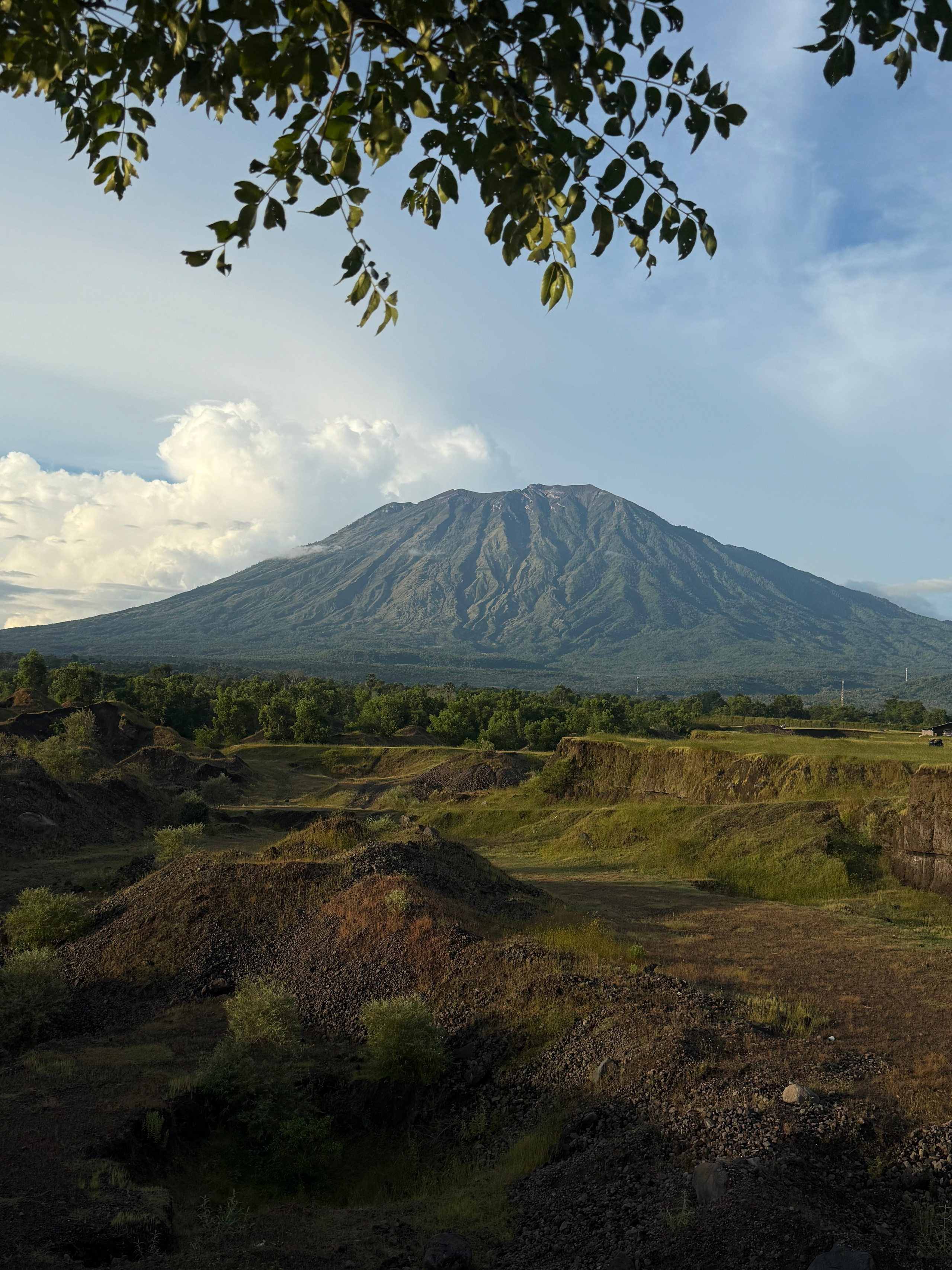 Студия в поле. Individual and couple Photographer in Bali — Bali Dream Photo