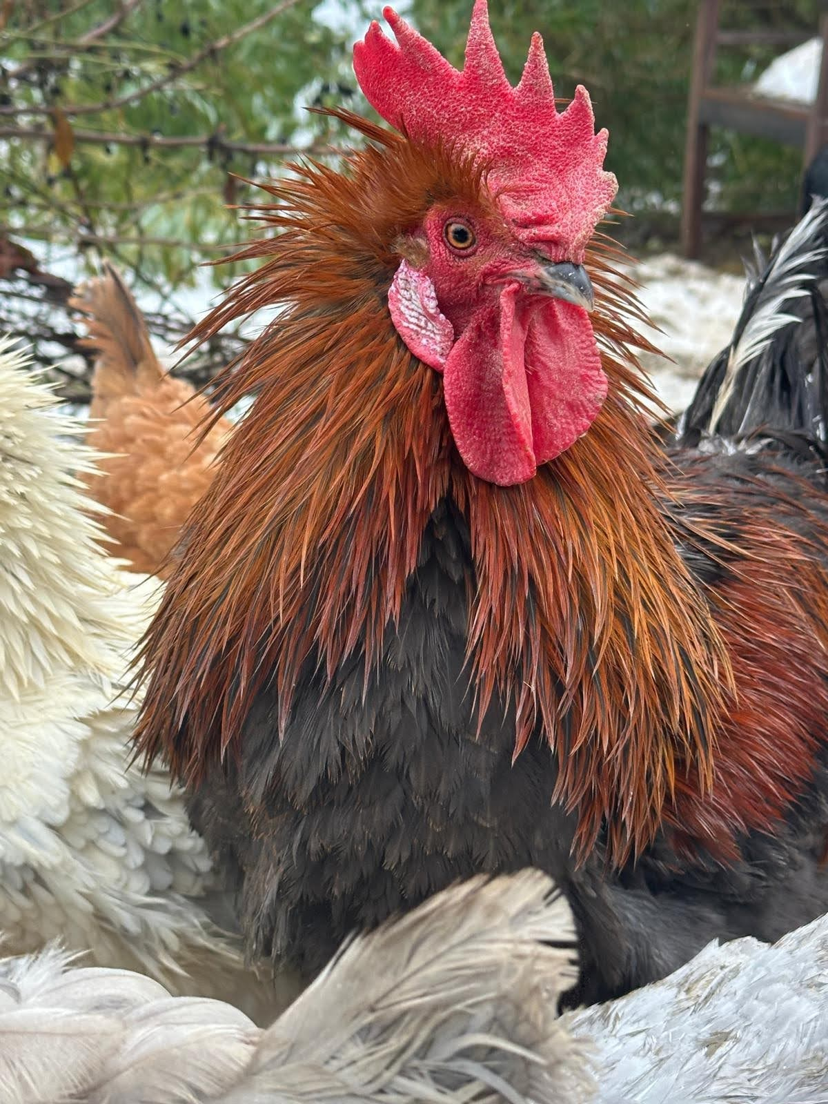 Gästehaus Ferienhaus Sausal/Kitzeck Urlaubsparadies Winzerhaus Naturgarten Bioeier Keramik Kunstwerkstatt Kreativkurs Kunstkurs handgedreht Becher mit Tiermotiv