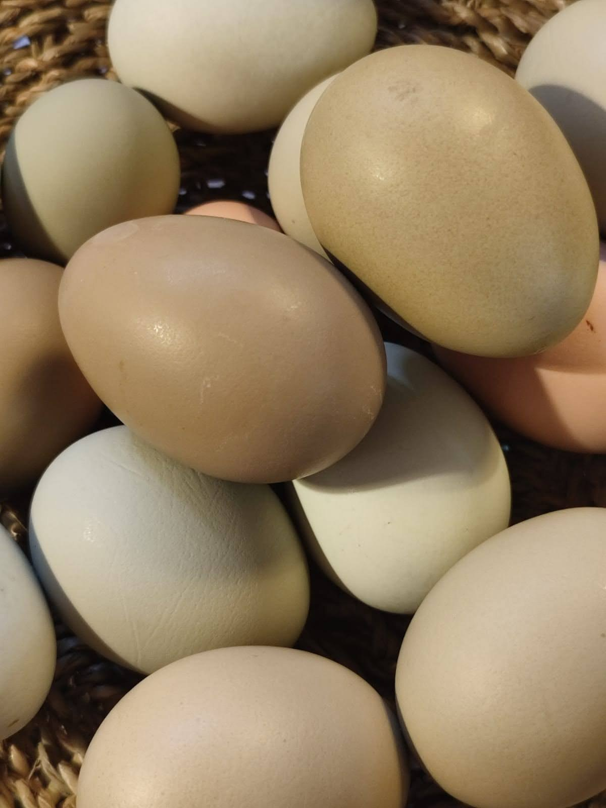 Gästehaus Ferienhaus Sausal/Kitzeck Urlaubsparadies Winzerhaus Naturgarten Bioeier Keramik Kunstwerkstatt Kreativkurs Kunstkurs handgedreht Becher mit Tiermotiv