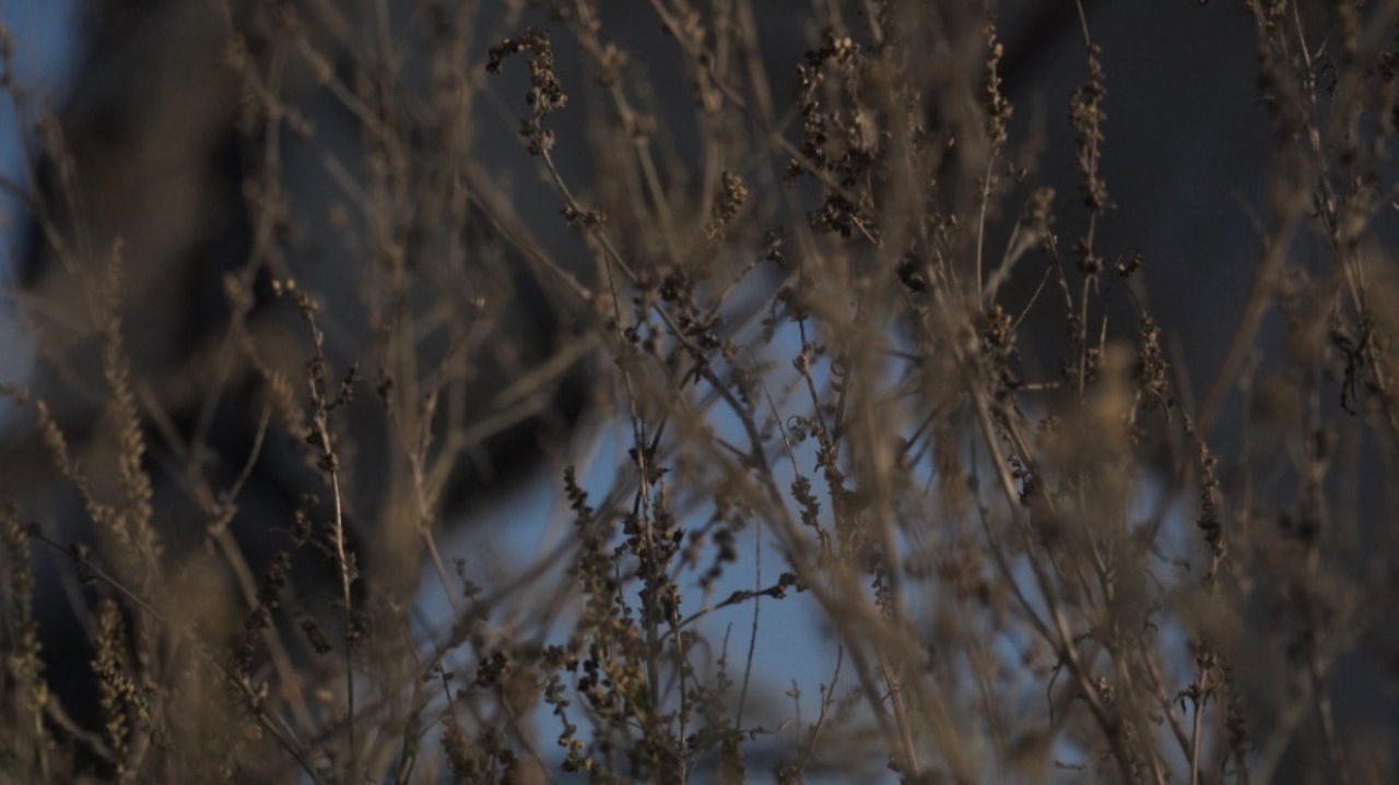 GS FW 2022. Aura Studio / co-design space