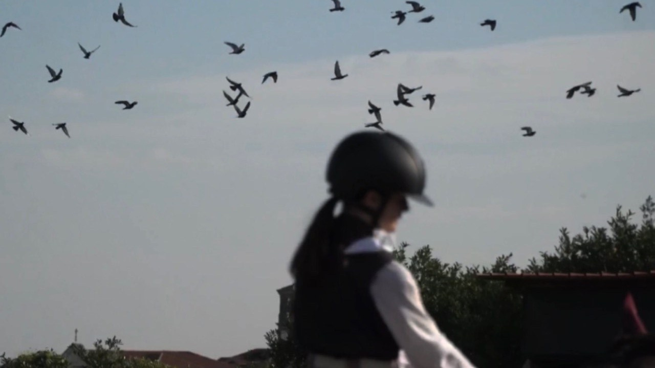 GS FW 2022. Aura Studio / co-design space