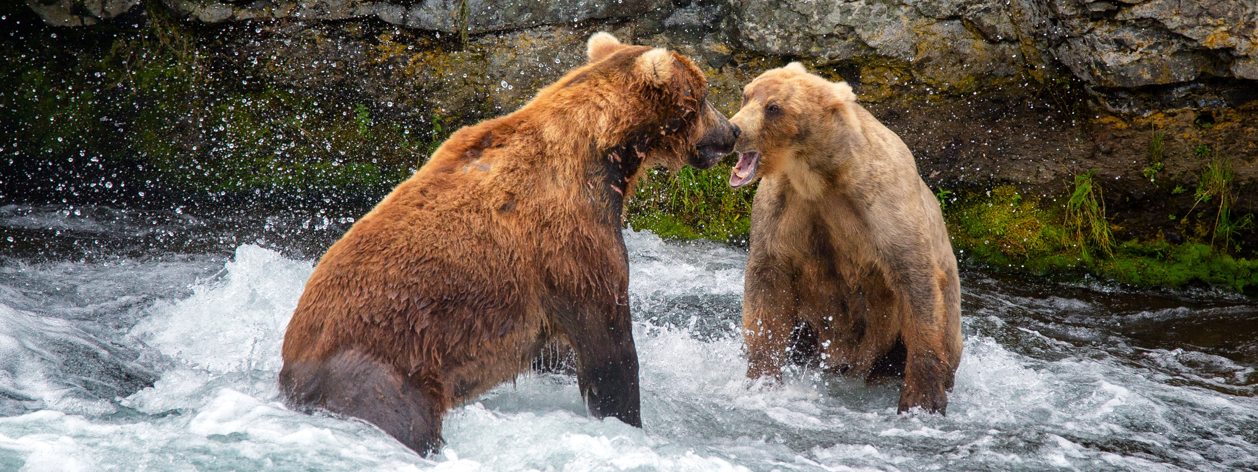 Alaska-2019. Alex Mironyuk Photography