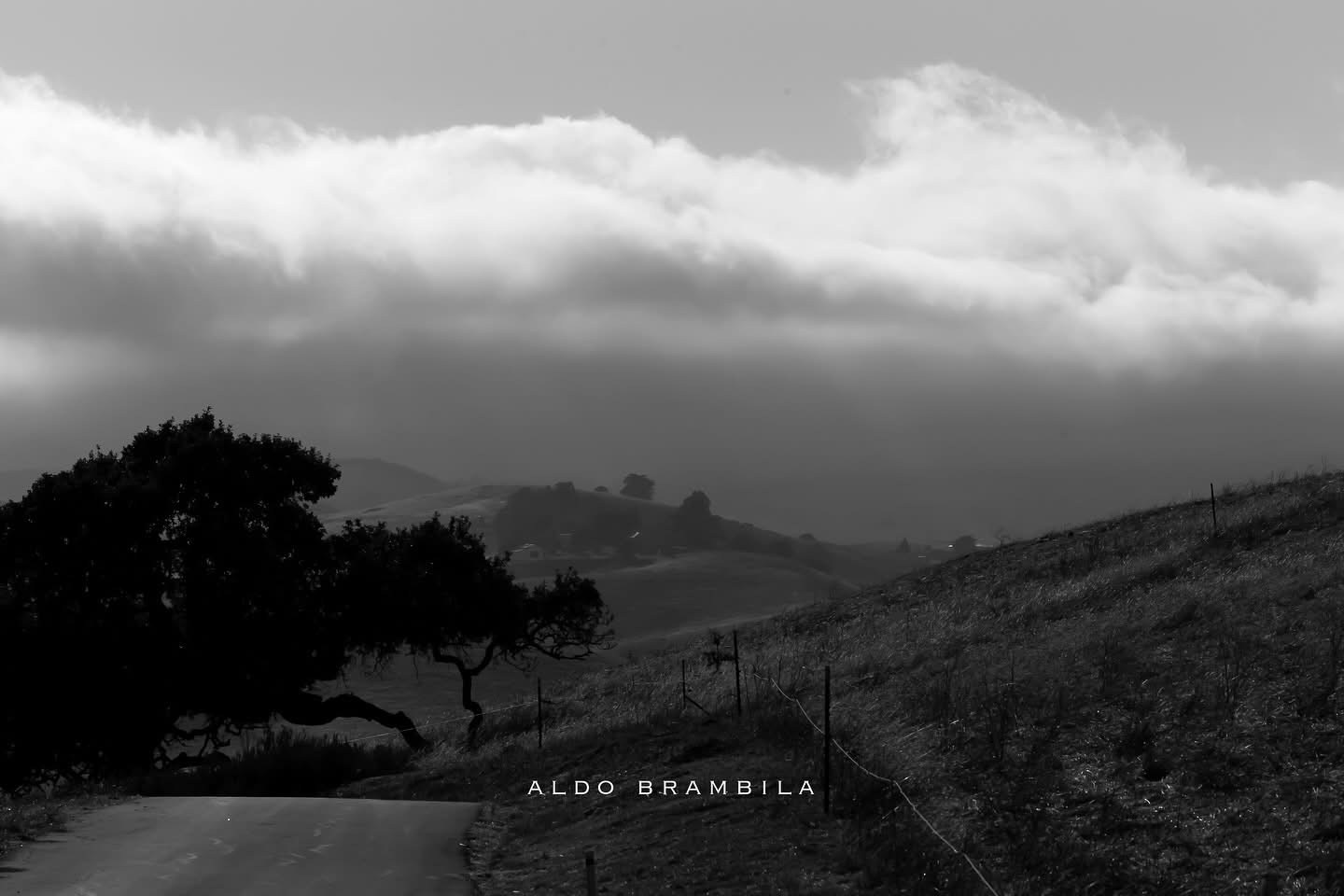 Servicios. Aldo Brambila fotografo de eventos y sociales