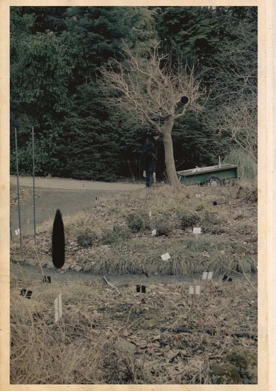 Photo diary of visual poetry