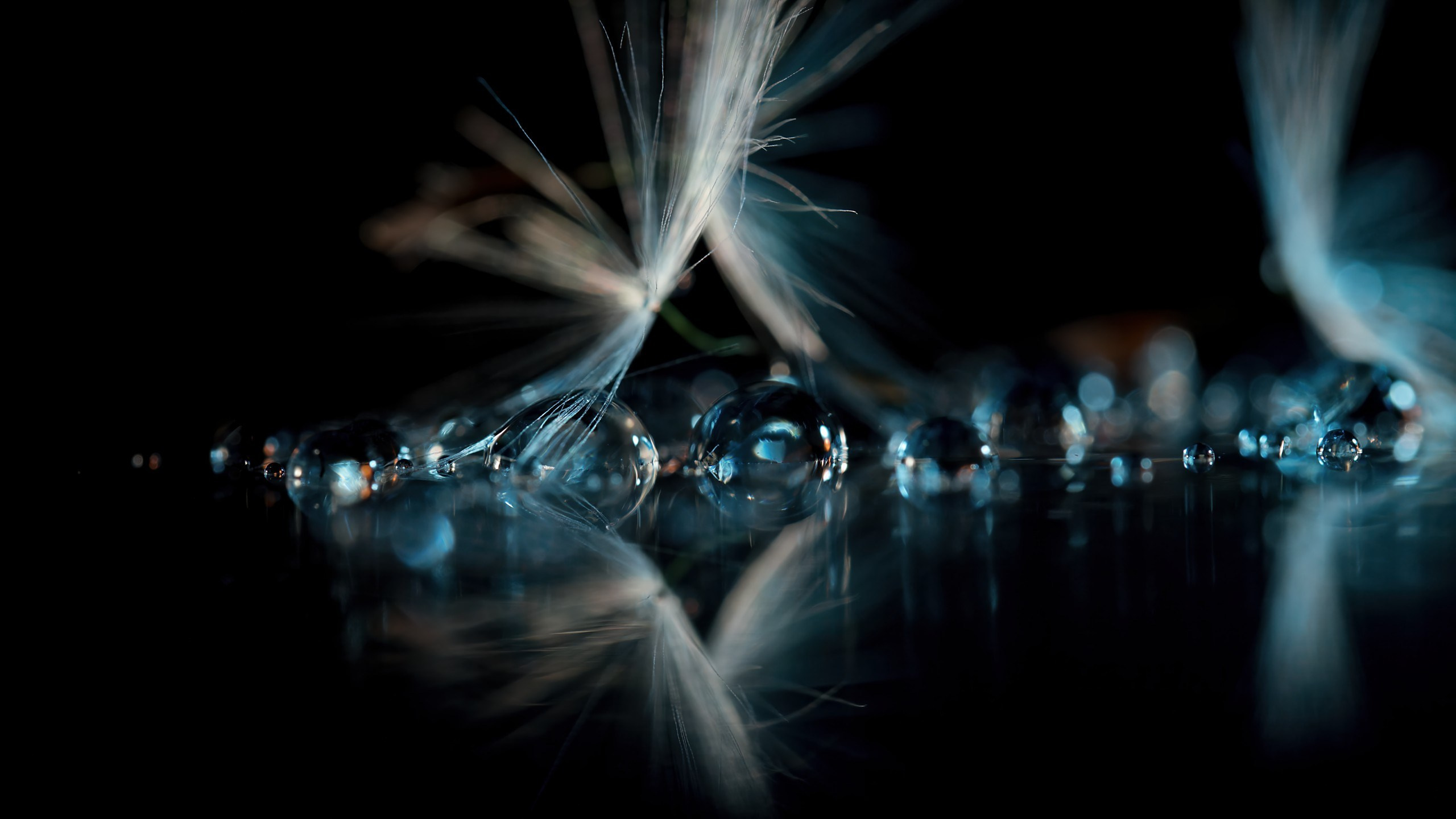 Tessa Matuza | Constructed Fine Art Photographer & Mixed Media Artist