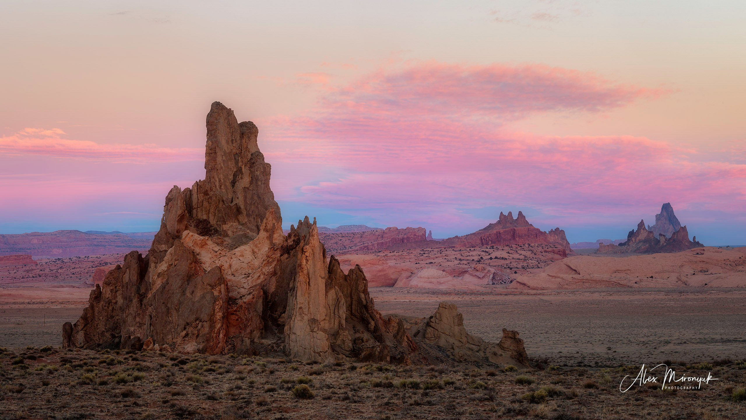 Eagle’s View — Arizona. Pet, Senior, Landscape, portrait studio, photographer in Miami and Sou