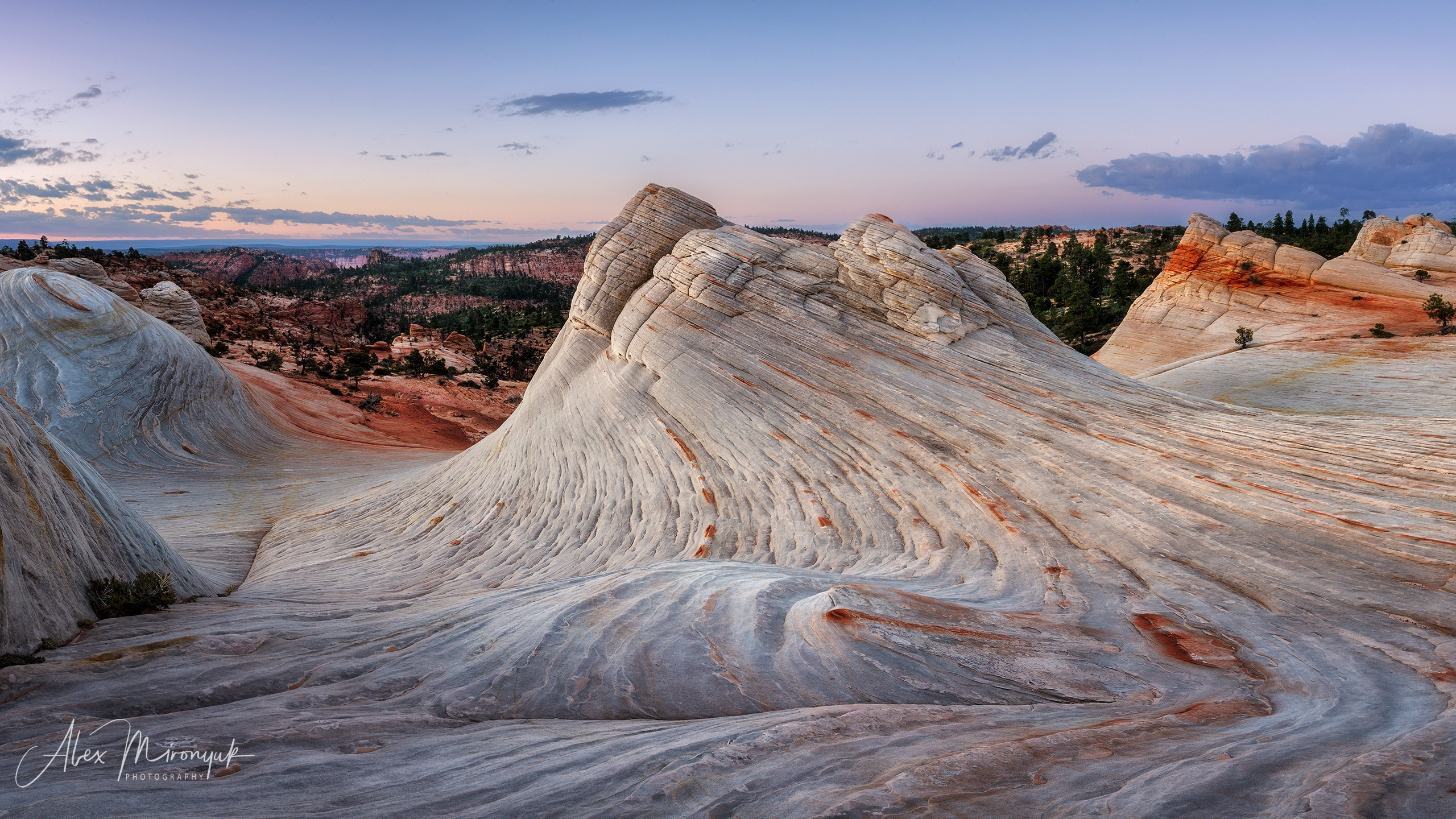 New Year In Utah. Pet, Senior, Landscape, portrait studio, photographer in Miami and Sou