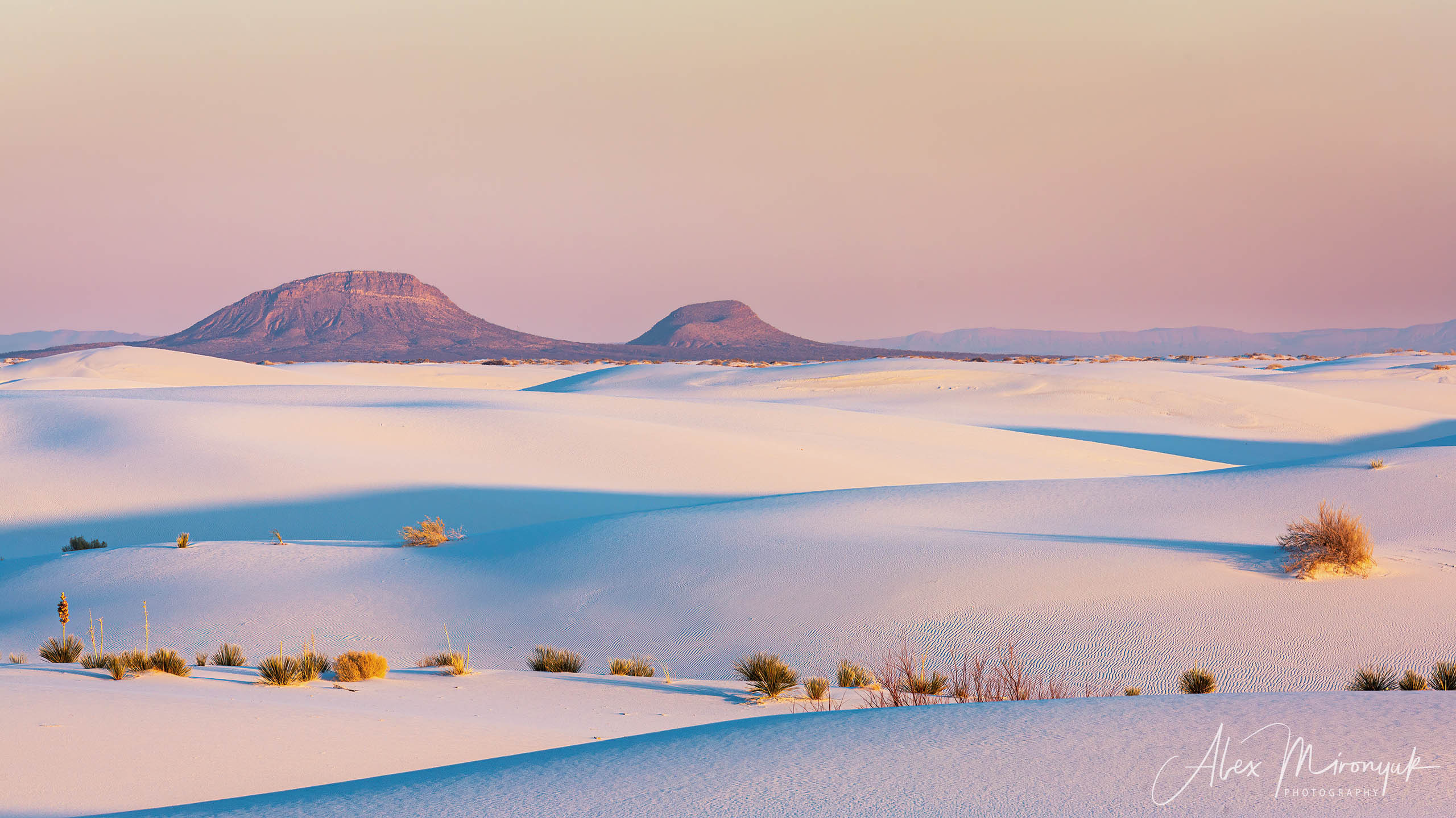 The Best of New Mexico. Pet, Senior, Landscape, portrait studio, photographer in Miami and Sou