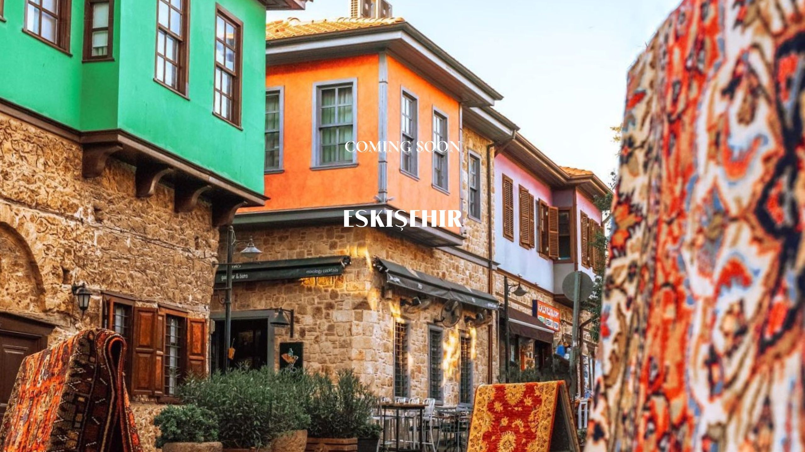 Lavi Group by lavitravel