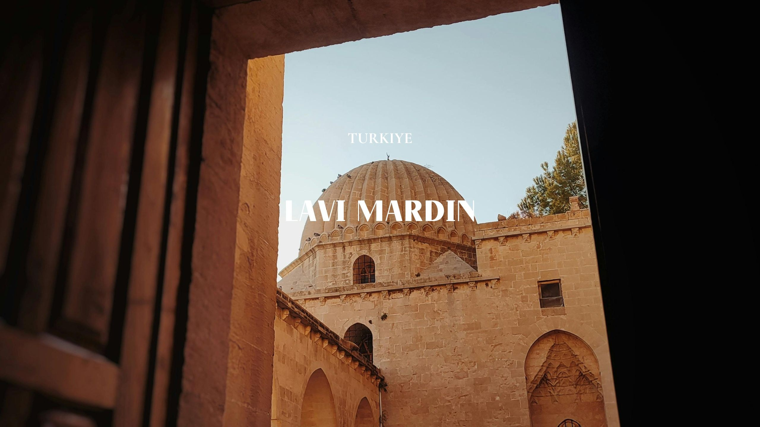 Lavi Group by lavitravel