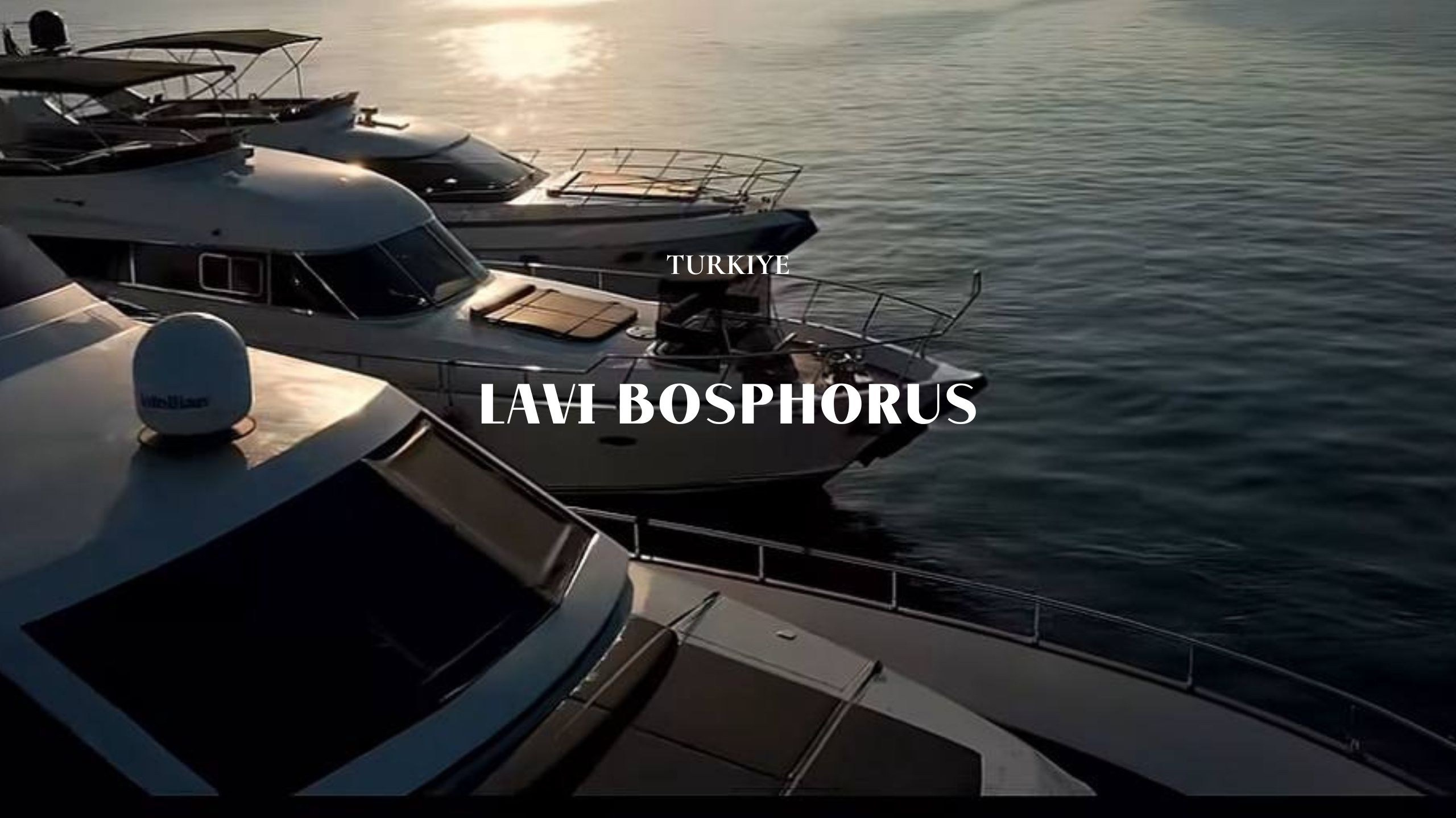 Lavi Group by lavitravel