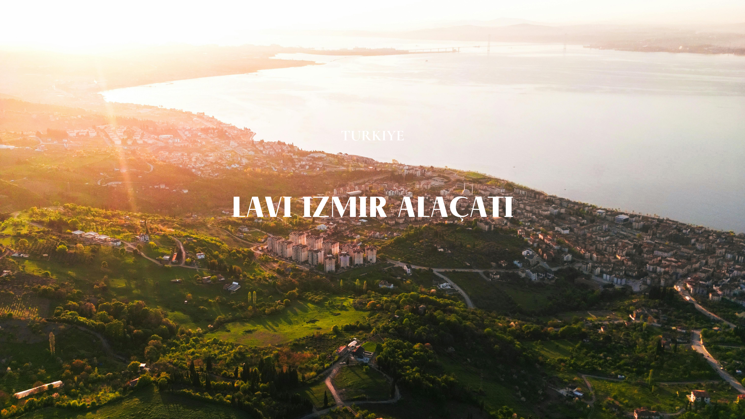 Lavi Group by lavitravel