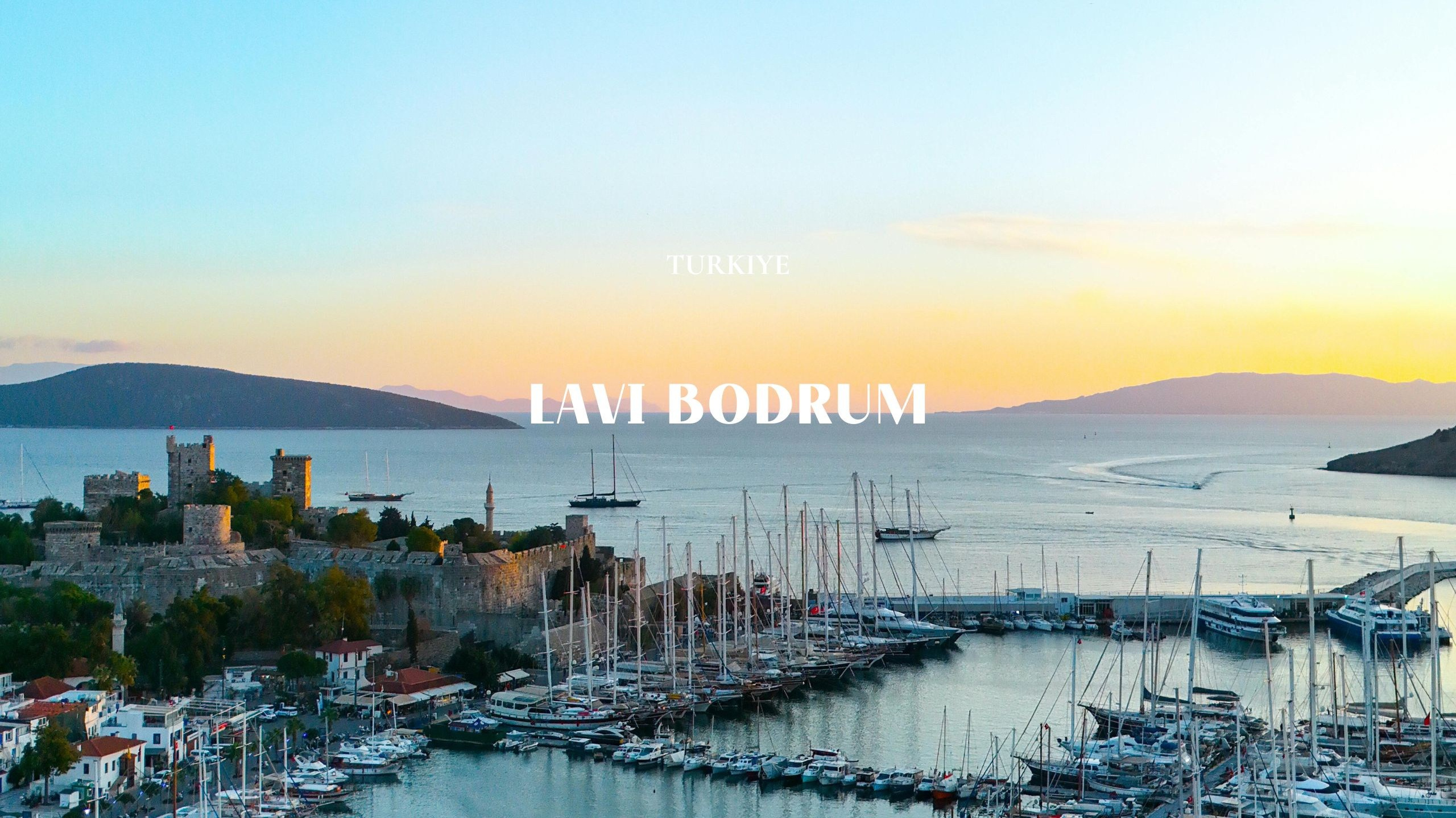 Lavi Group by lavitravel