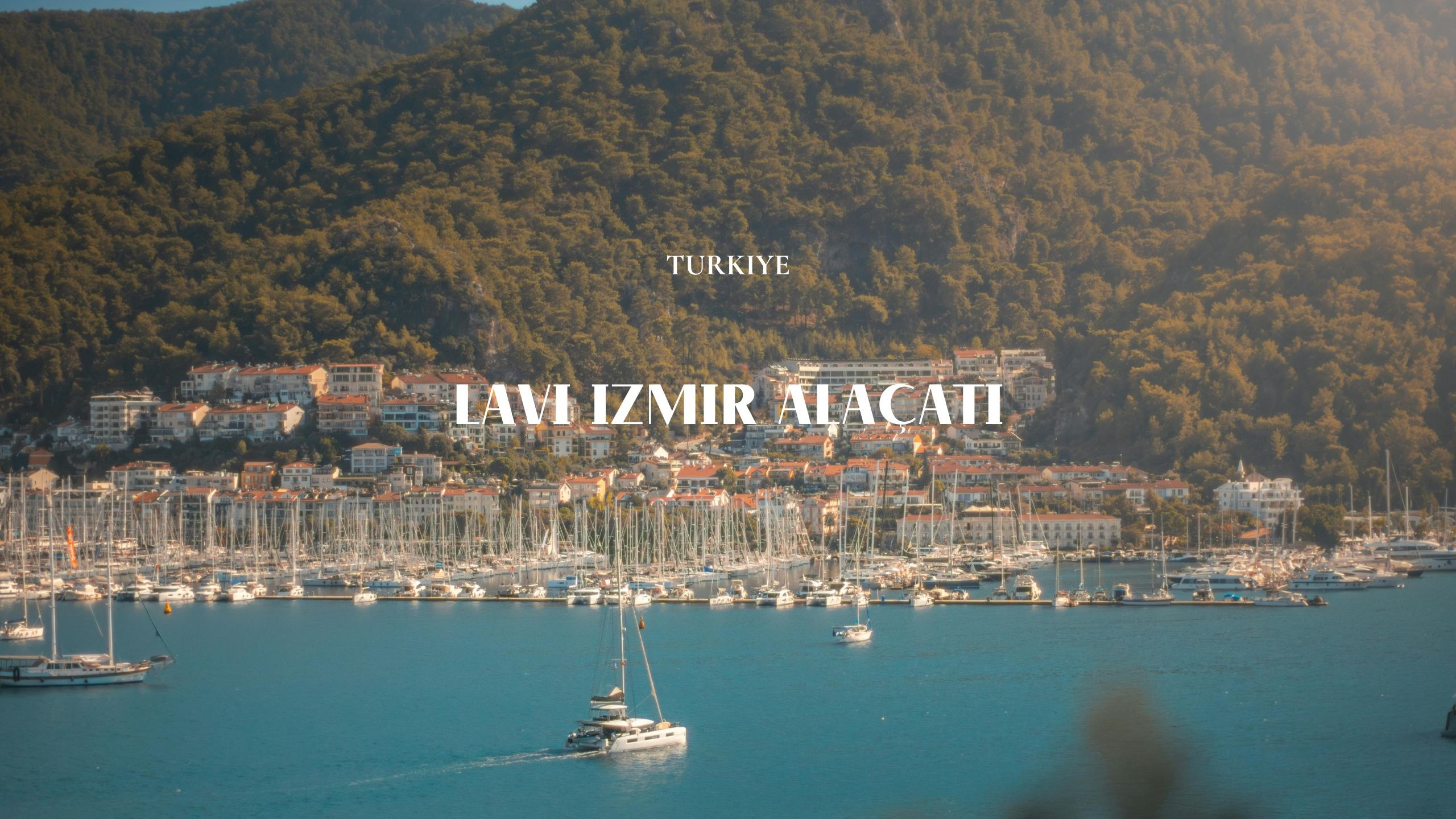 Lavi Group by lavitravel