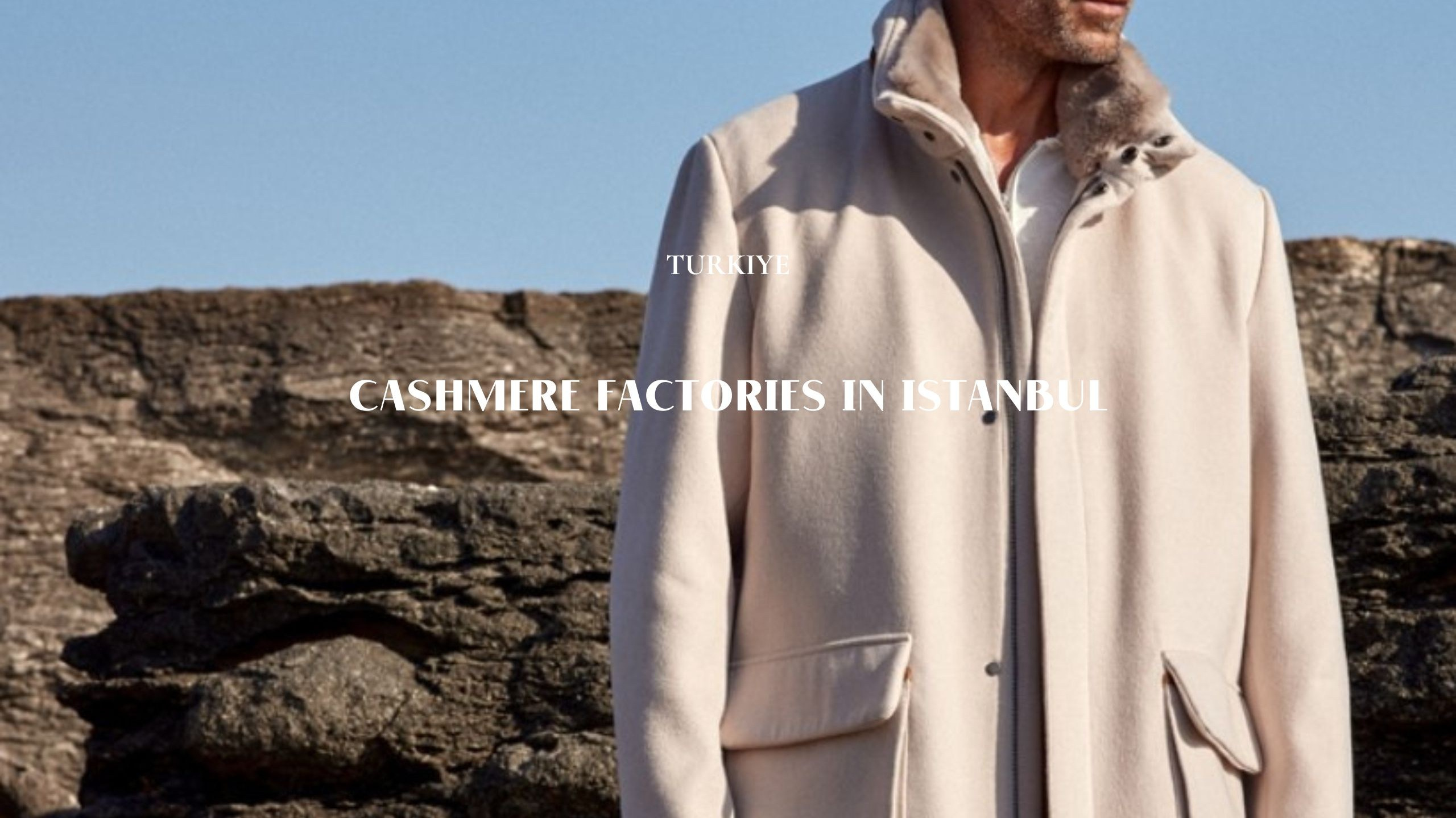 Lavi Group by lavitravel