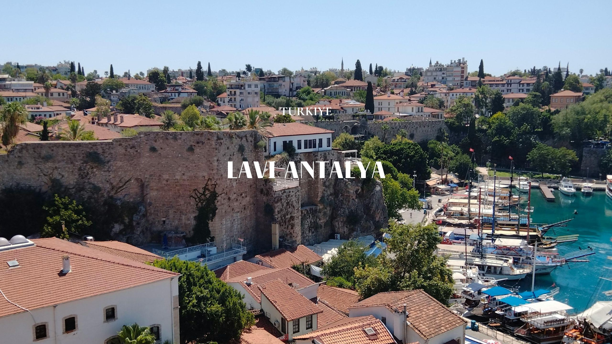 Lavi Group by lavitravel