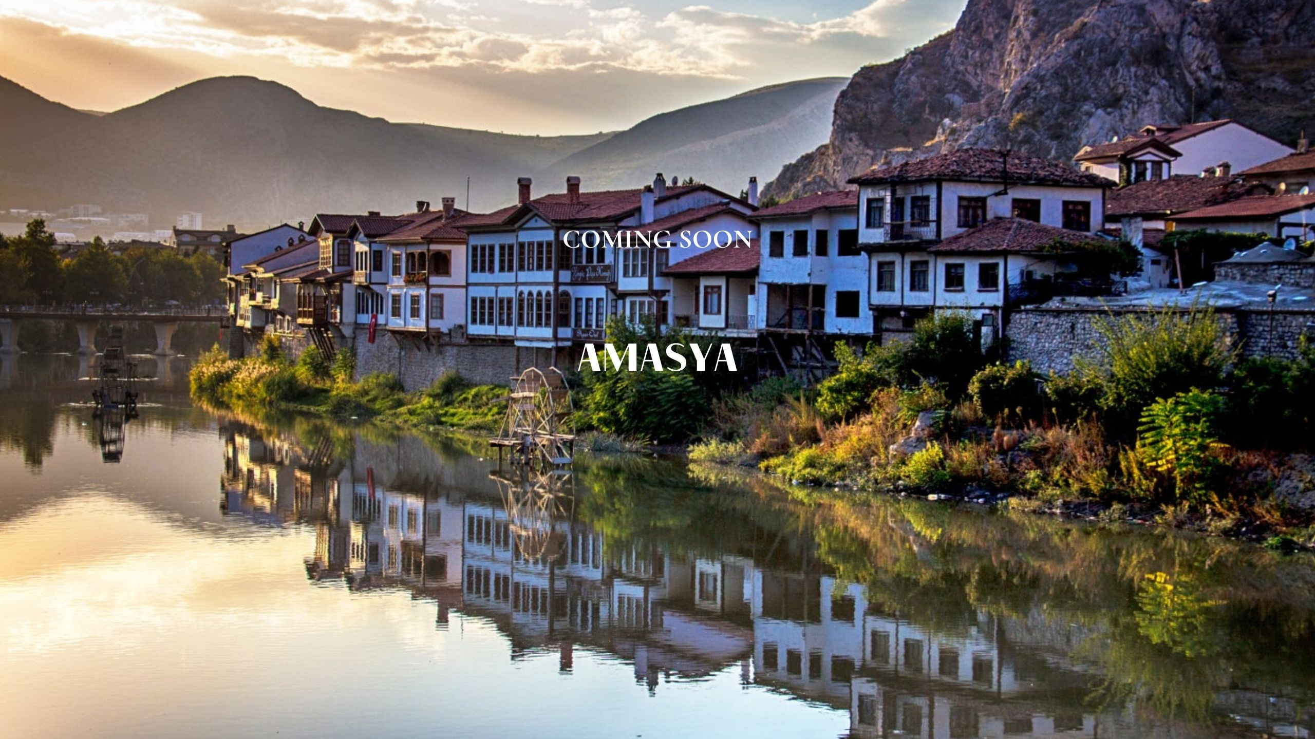 Lavi Group by lavitravel